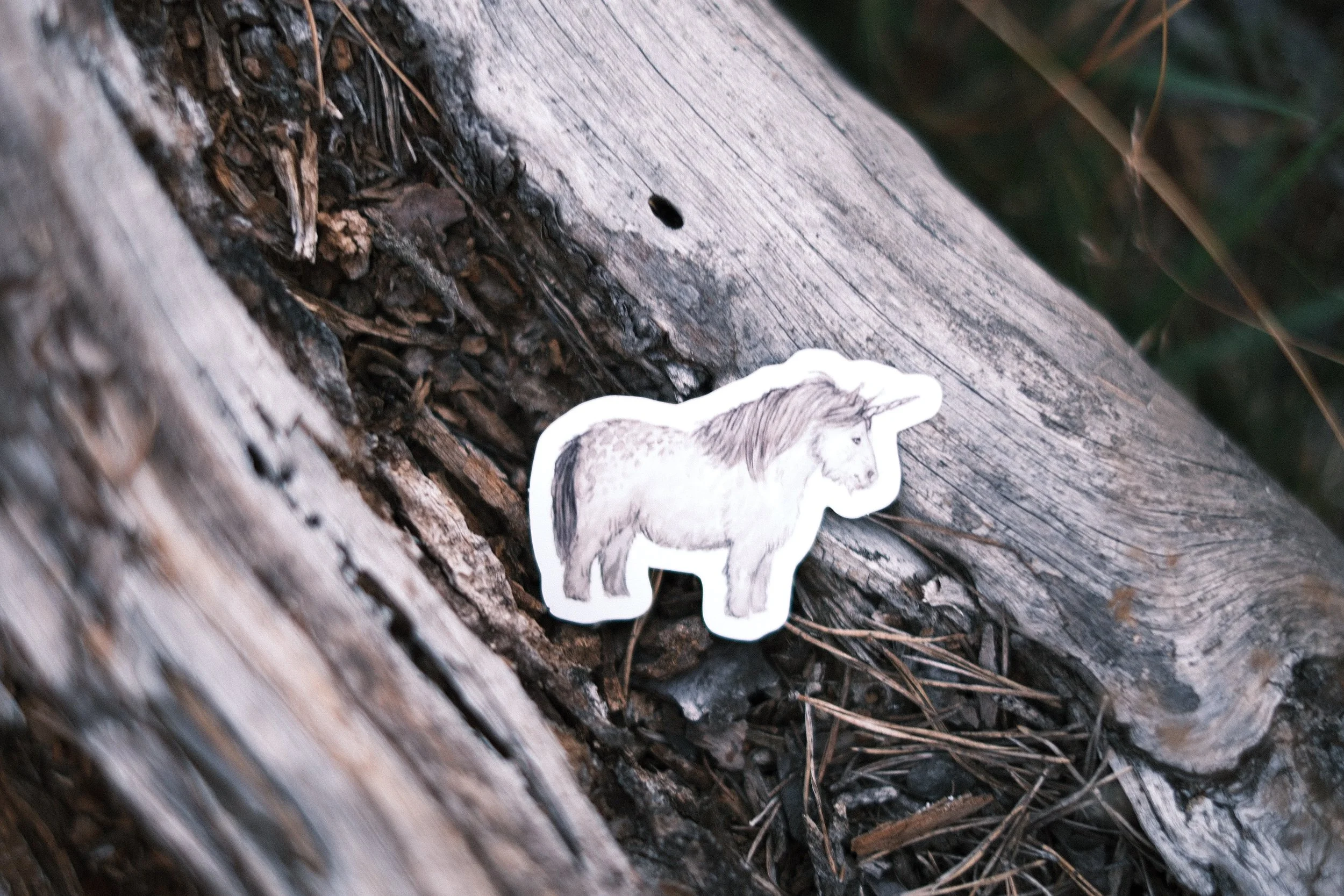 Equus monocerus arctos - Sticker