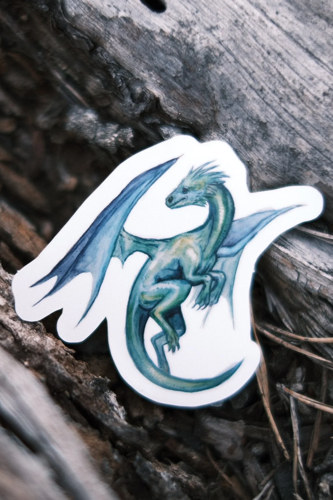 Draco scarabeus - Sticker