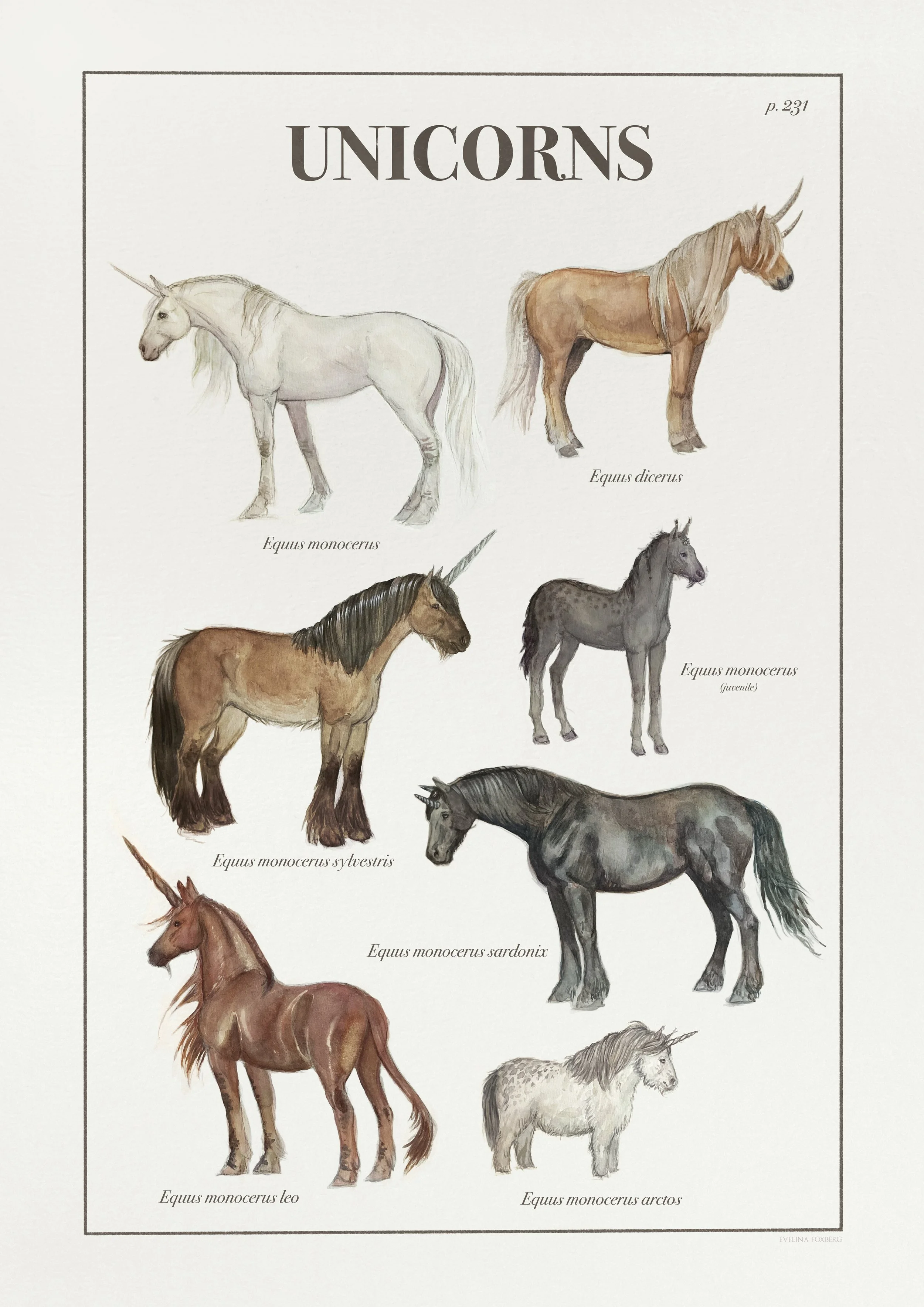 Unicorns - Vintage Scientific Poster