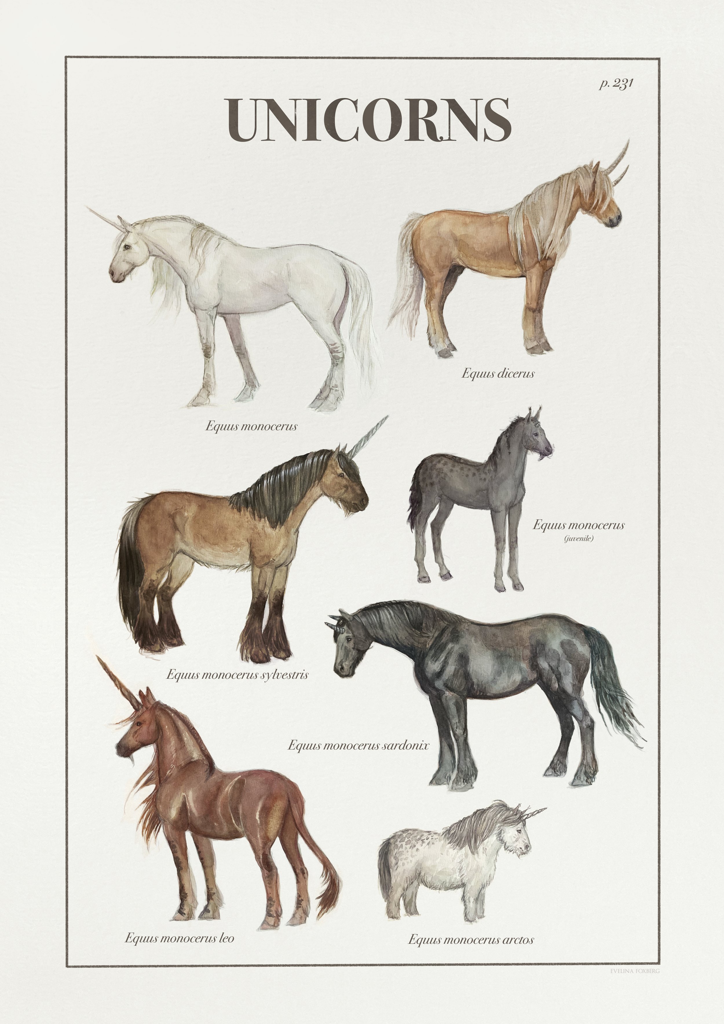 Unicorns Vintage Scientific Poster