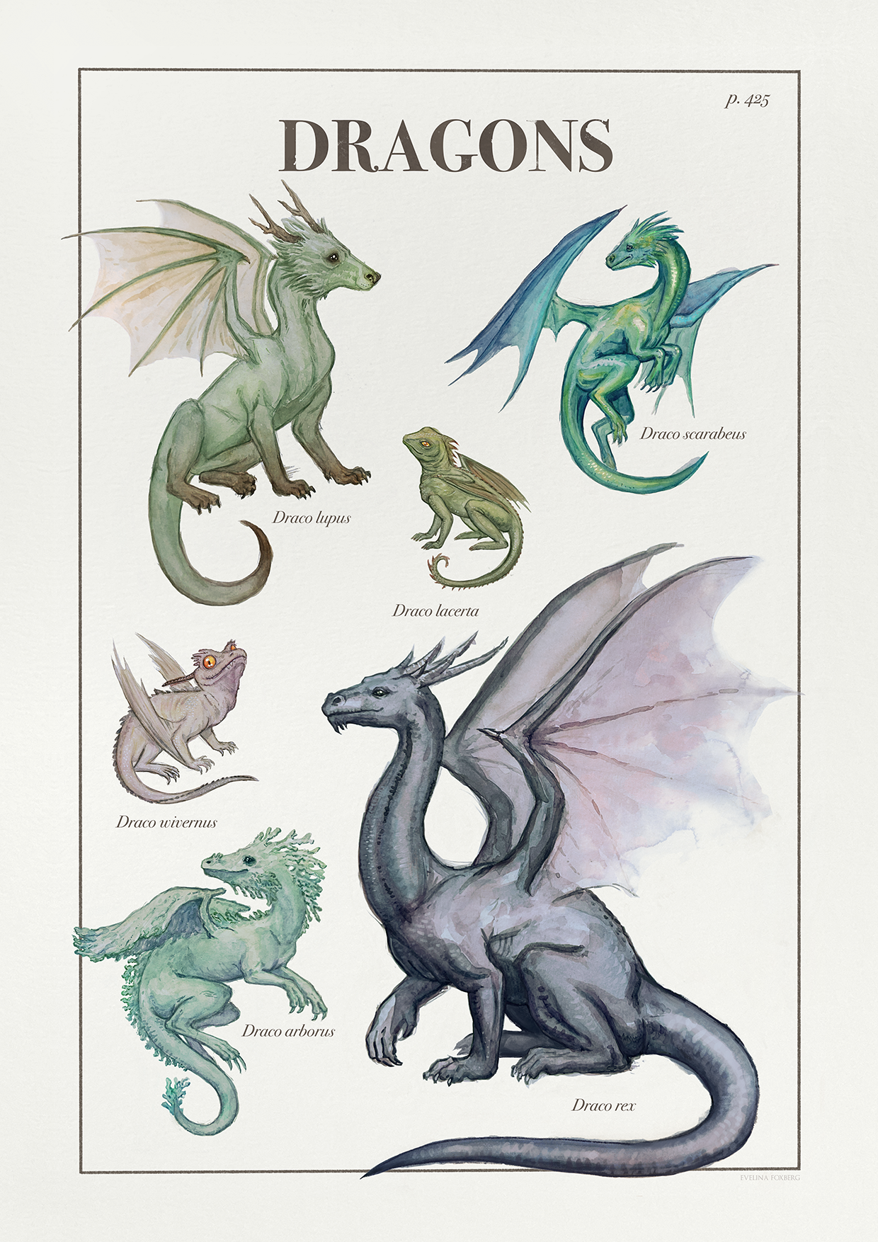 Dragons - Vintage Scientific Poster