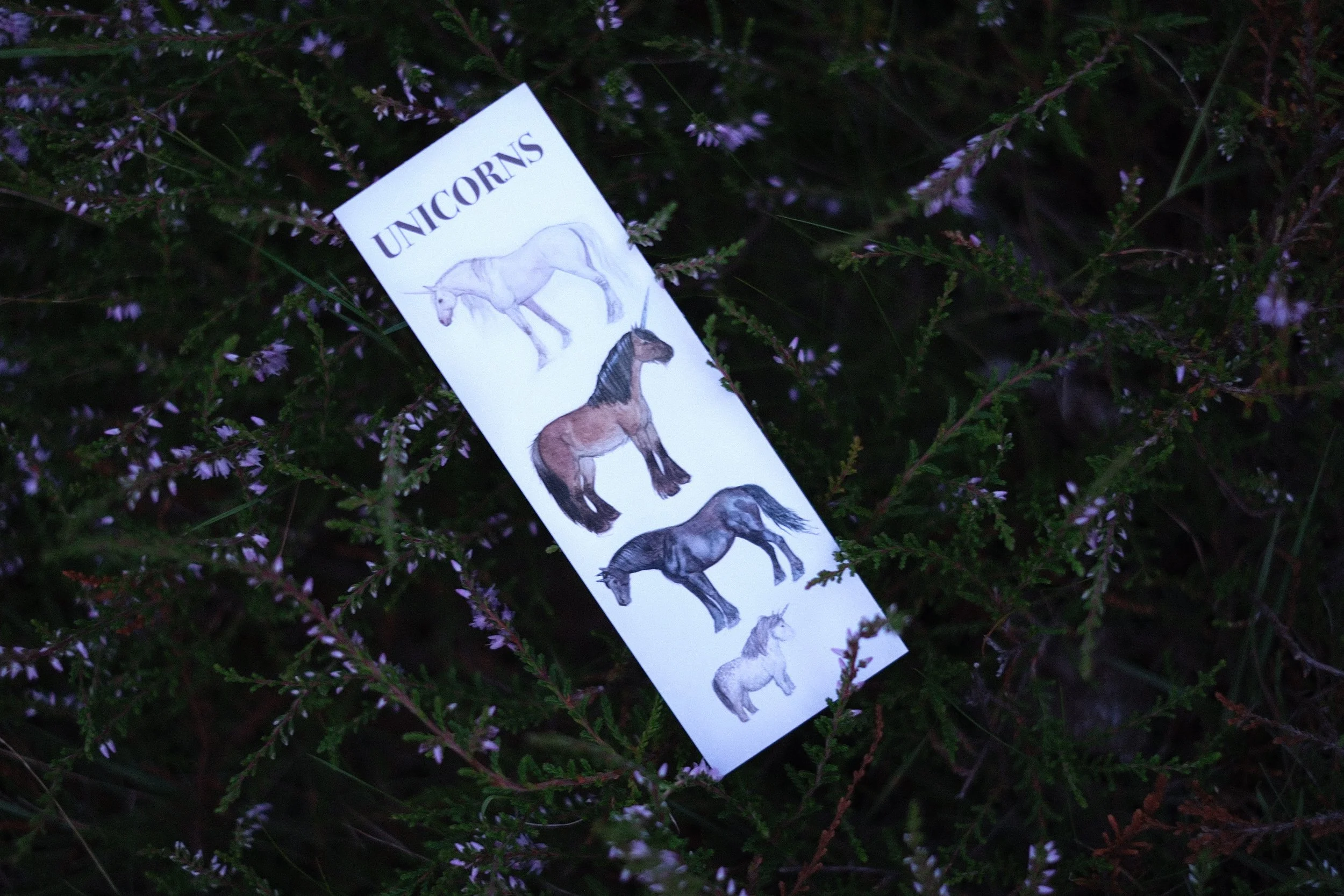 Unicorns - Bookmark