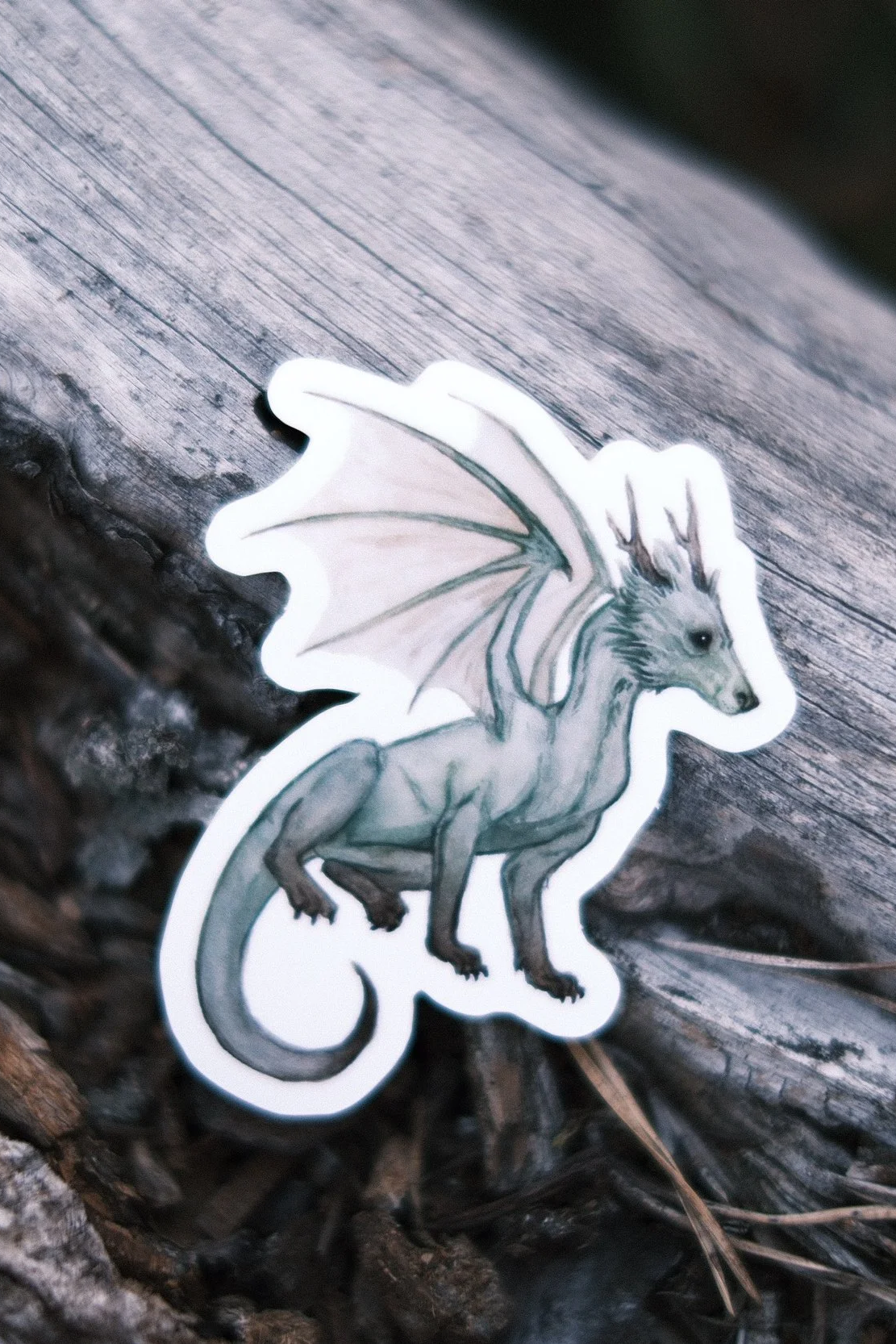 DSCF0358.png