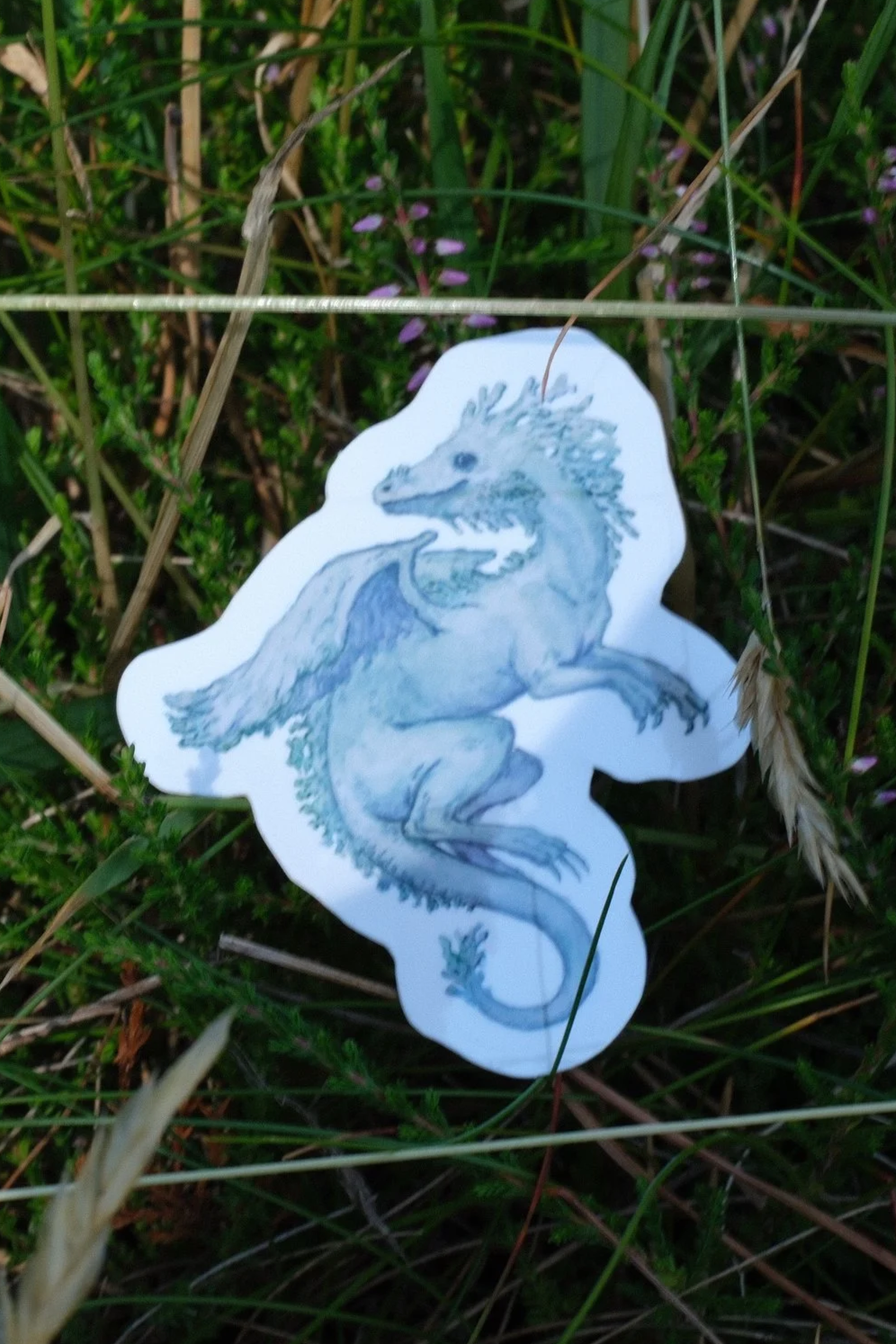 DSCF0597.png