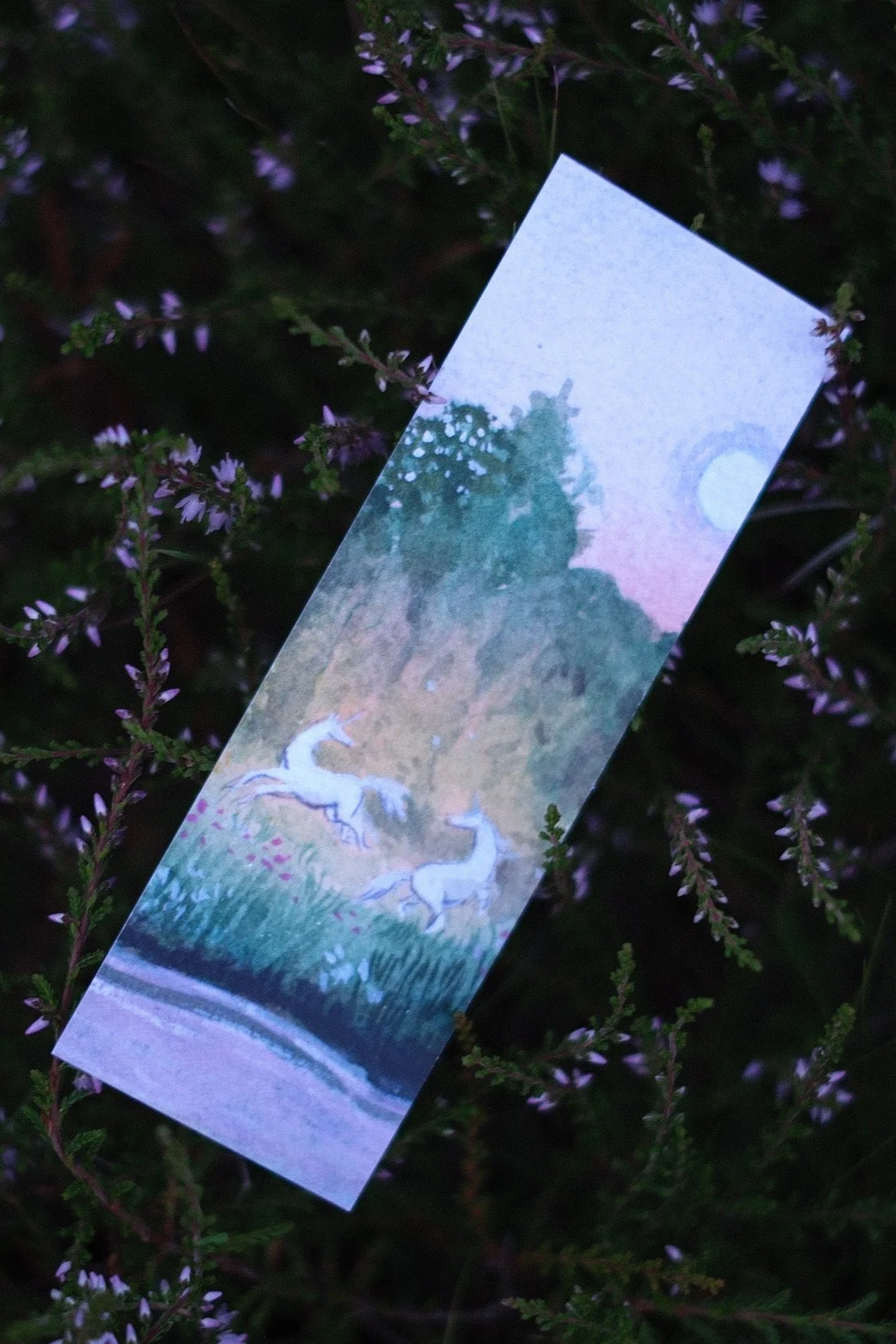 DSCF0404.png