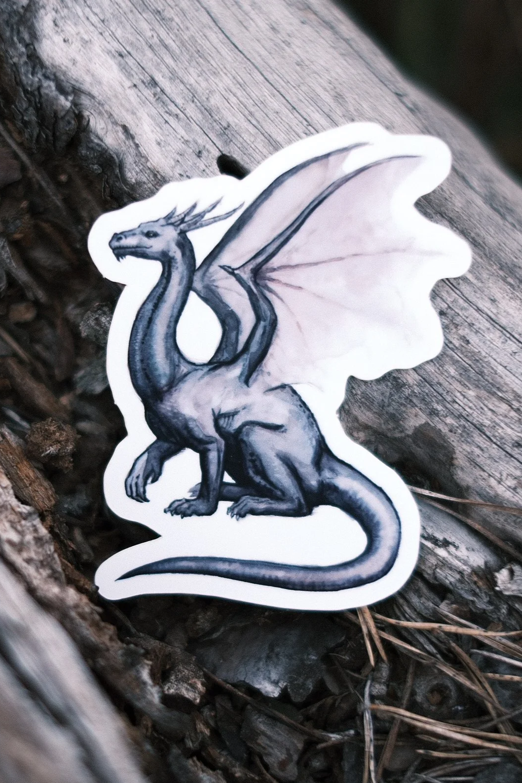 Draco rex - Sticker