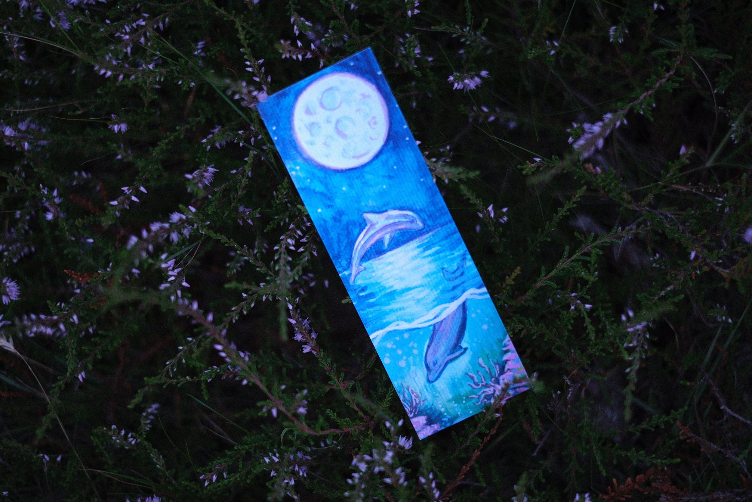 Tropical Dolphin - Bookmark