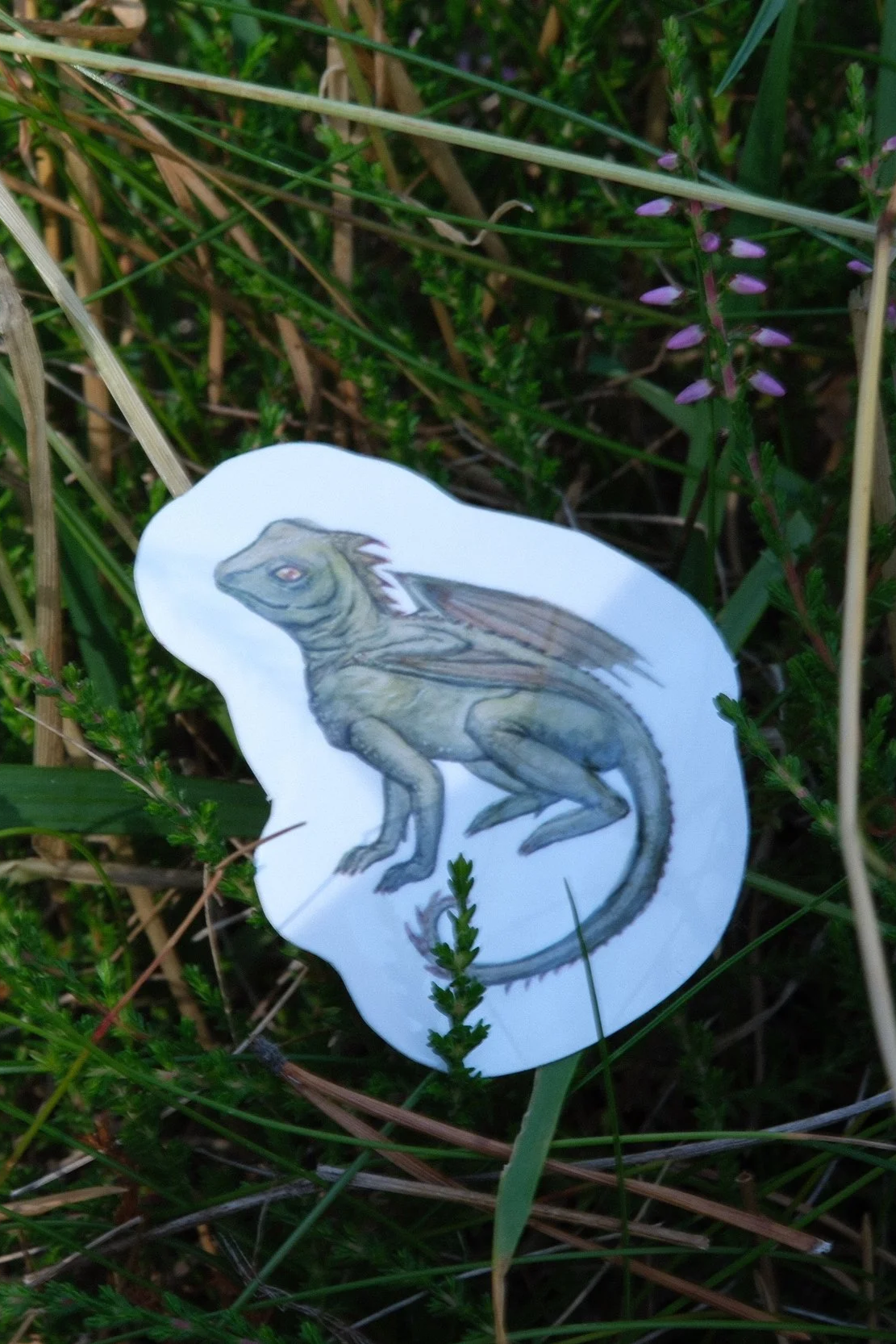 DSCF0581.png