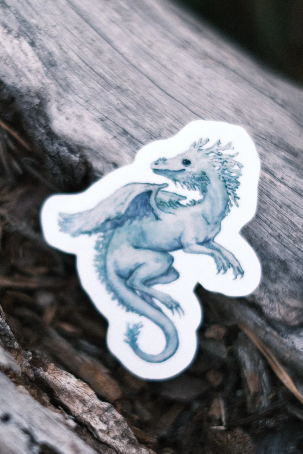 Draco arborus - Sticker