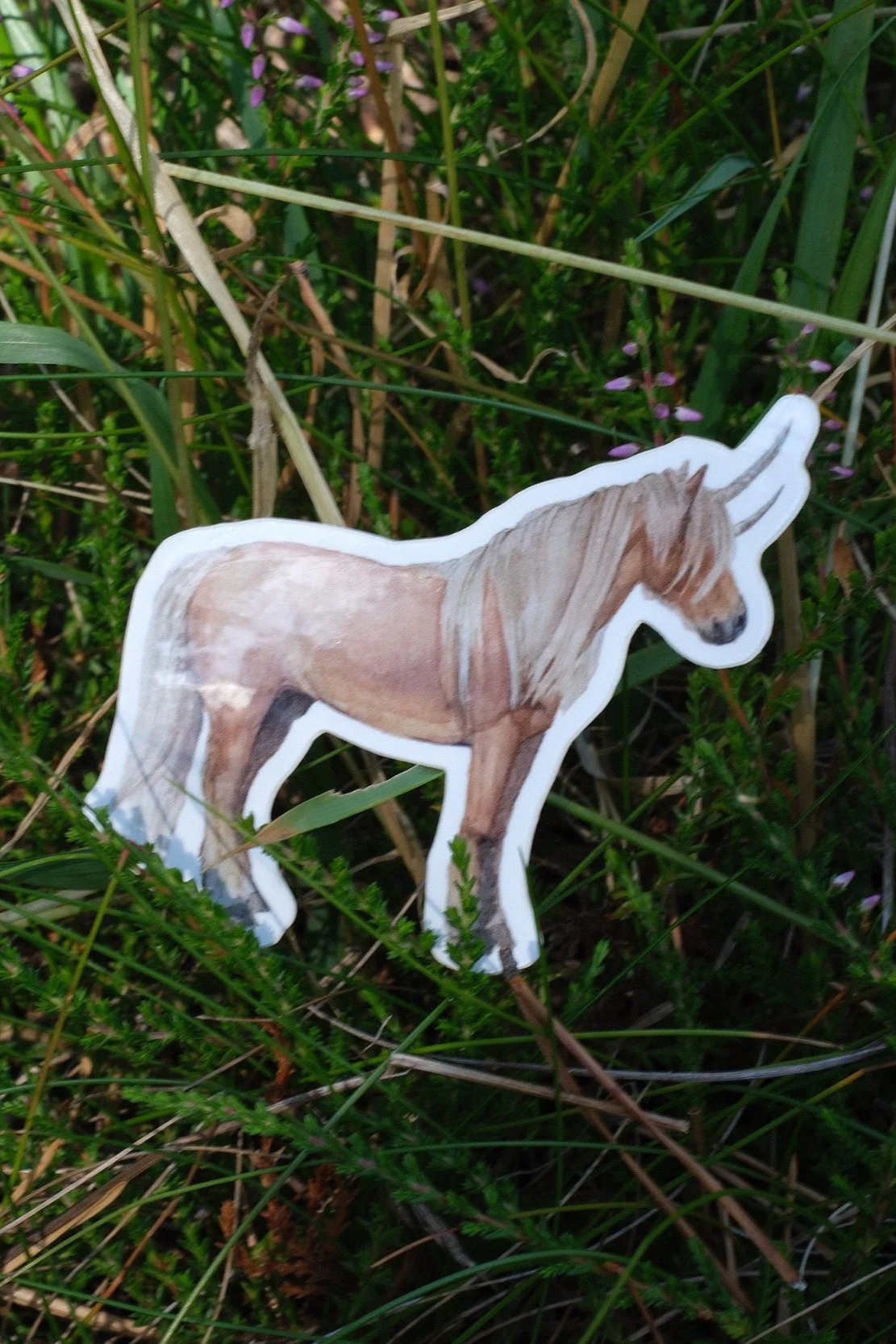 DSCF0587.png