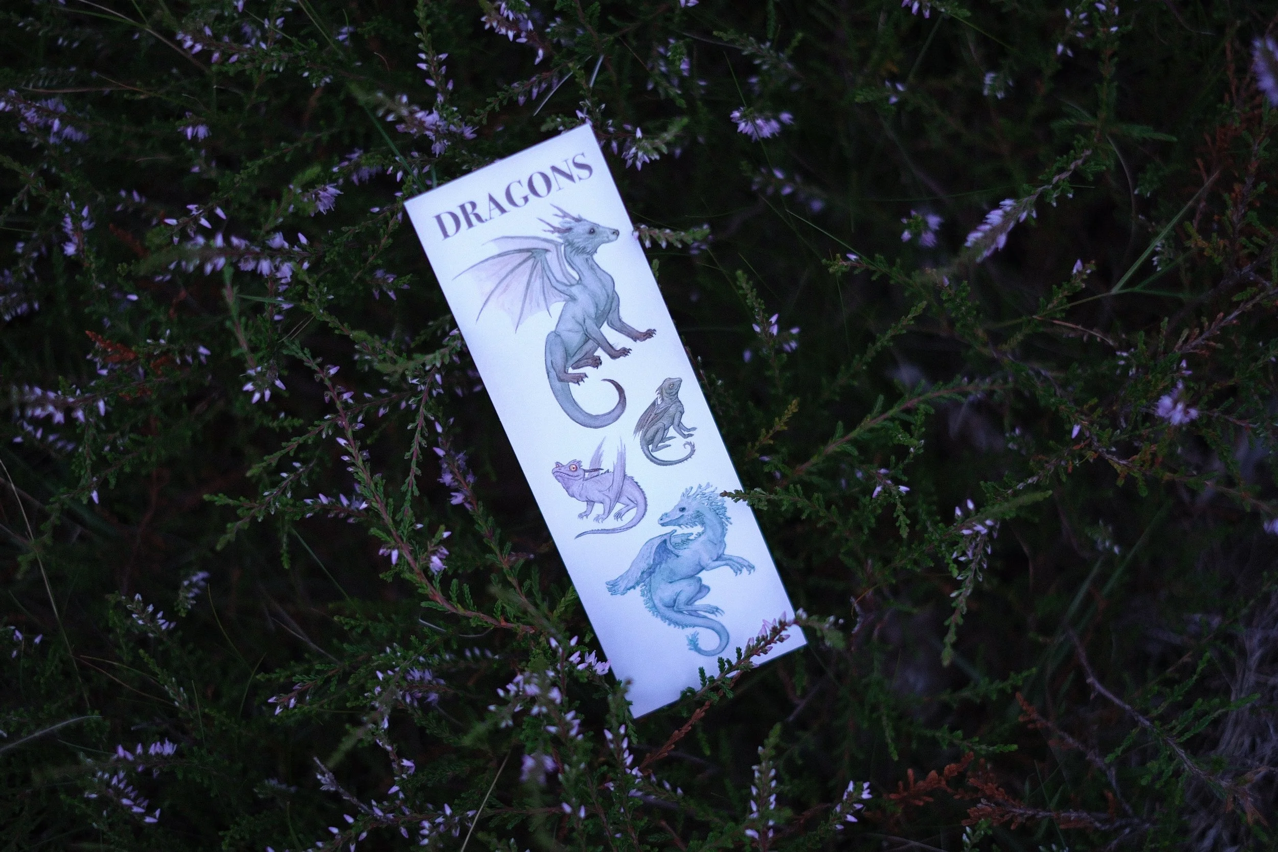 Dragons - Bookmark