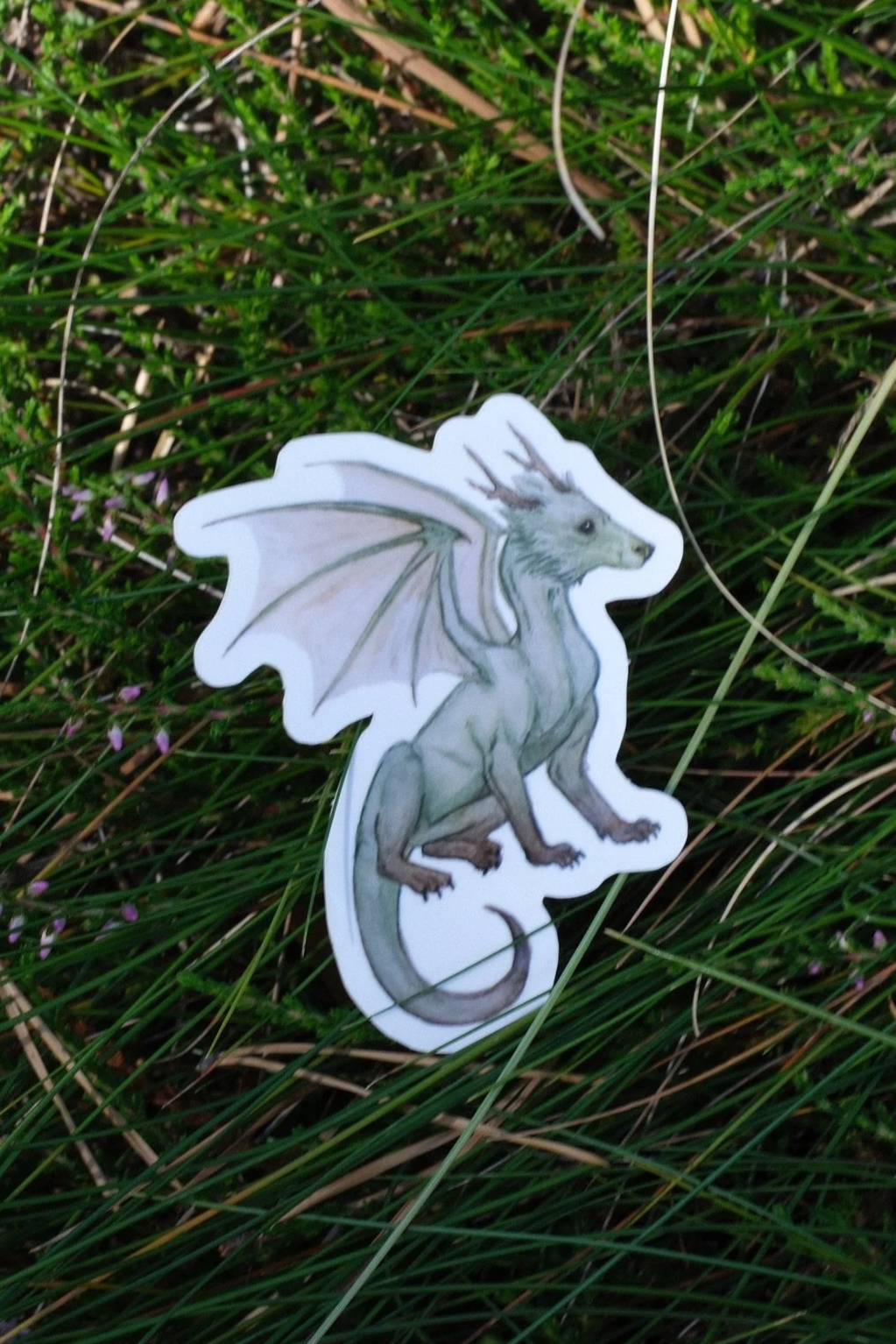 DSCF0578.png