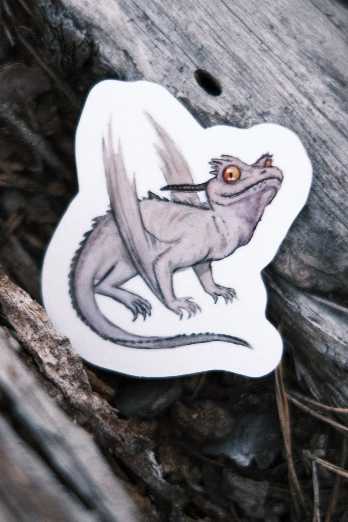Draco wivernus - Sticker