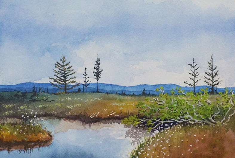 Fulufjället-small_EvelinaFoxberg.jpg