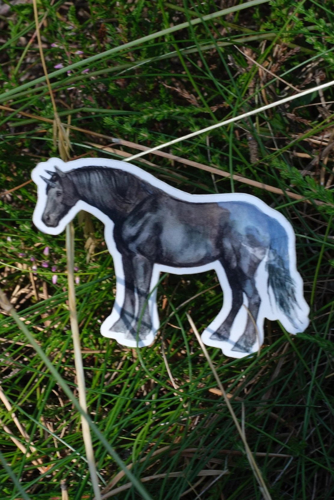 DSCF0594.png