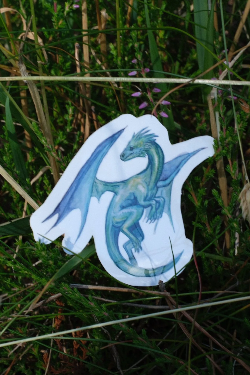DSCF0602.png
