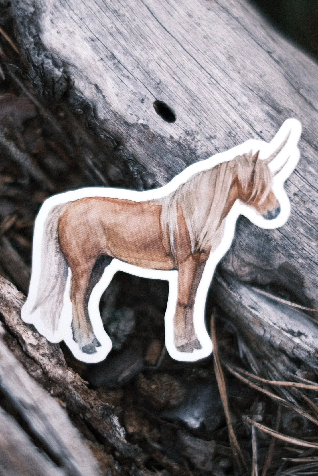 Equus dicerus - Sticker