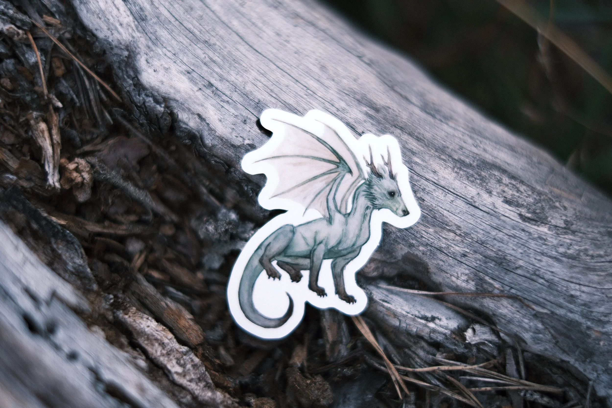Draco lupus - Sticker