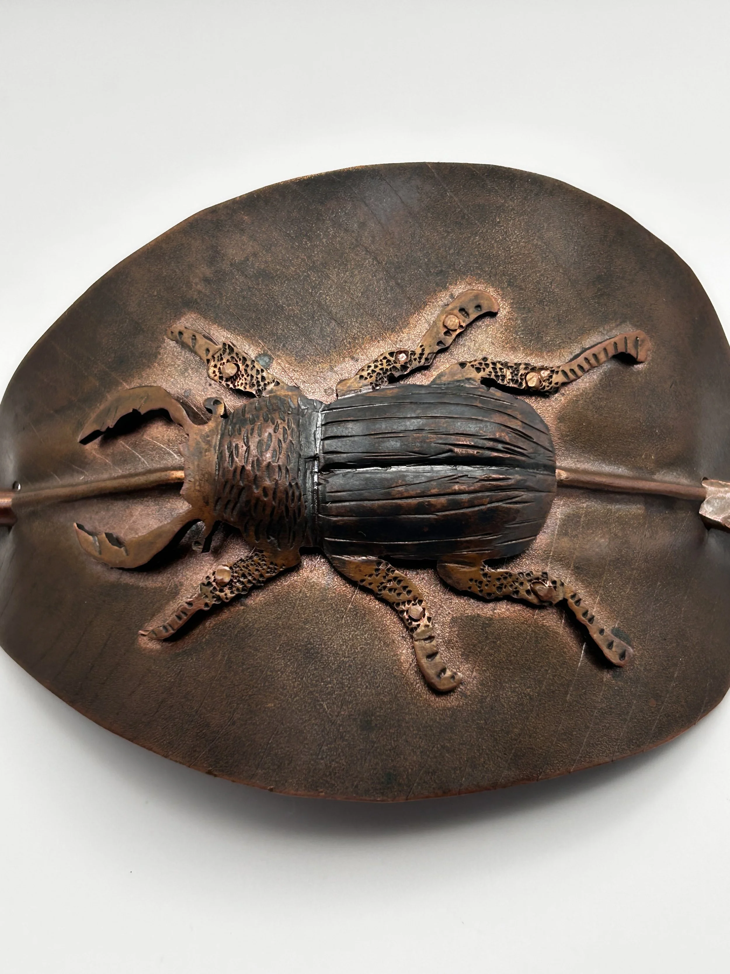 hairpin2_beetle_on_leaf_450 (4).jpeg