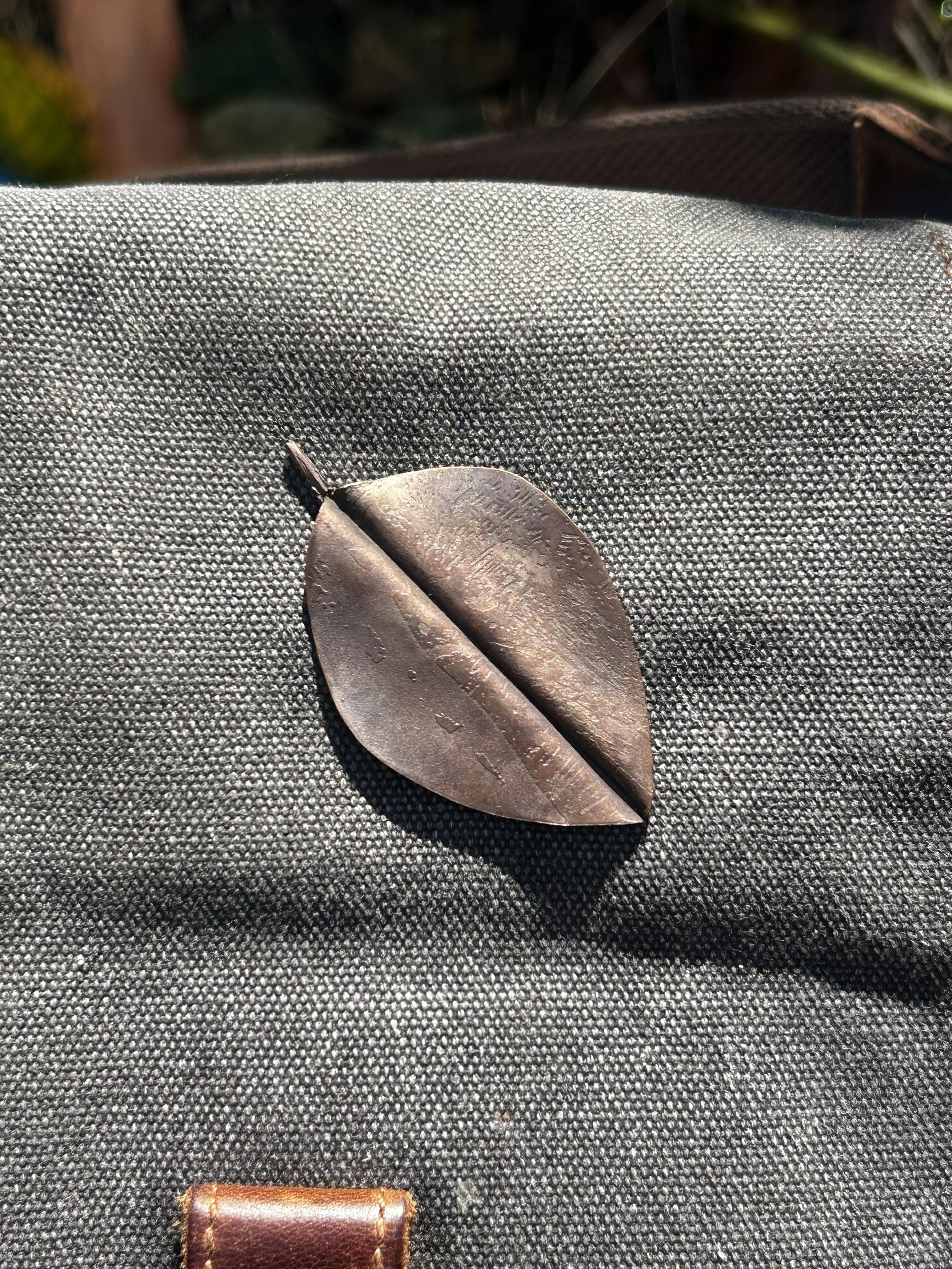 Pin1_leaf-ac.jpg