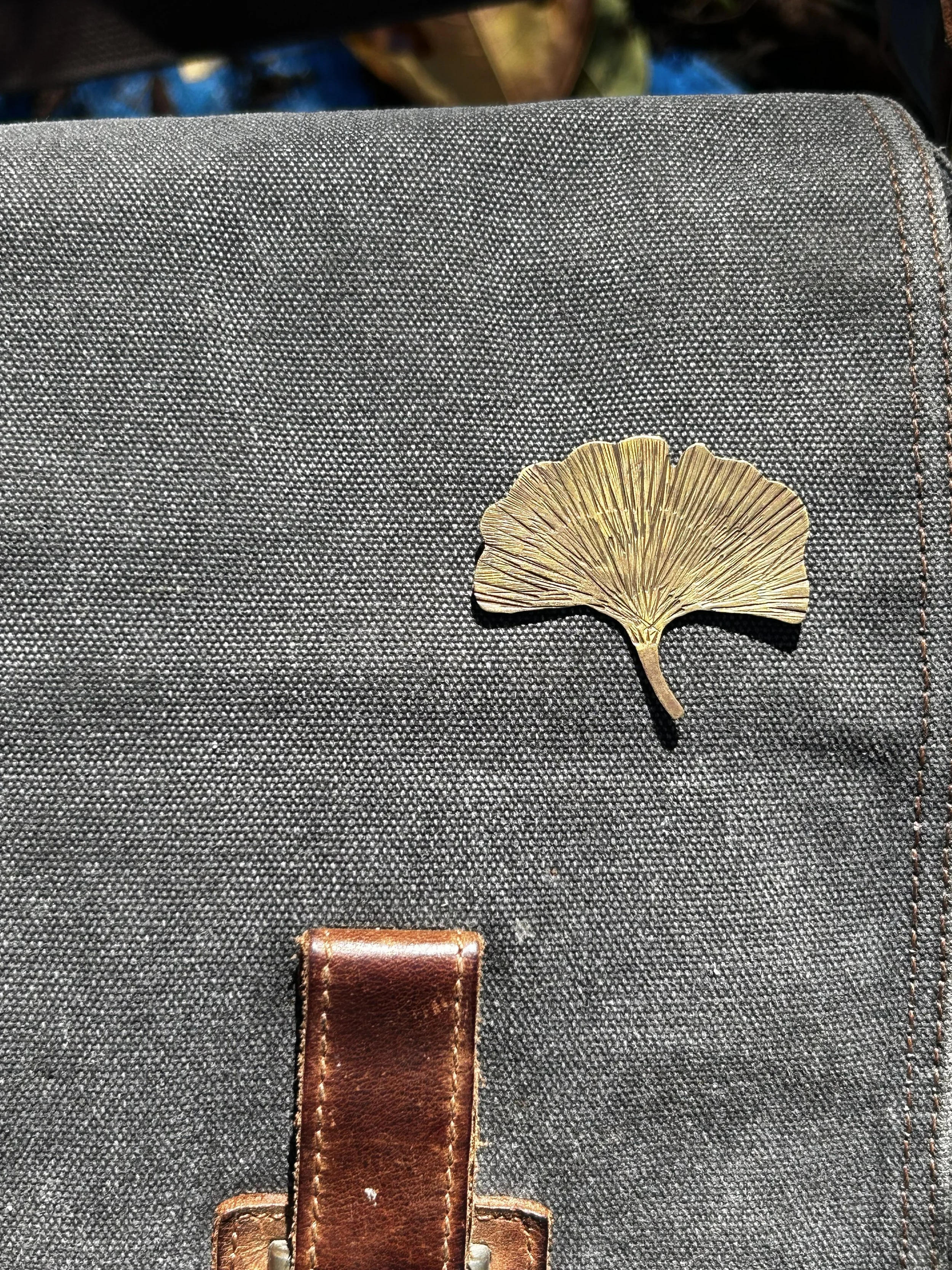 Pin3_ginkgoleaf-as.jpg