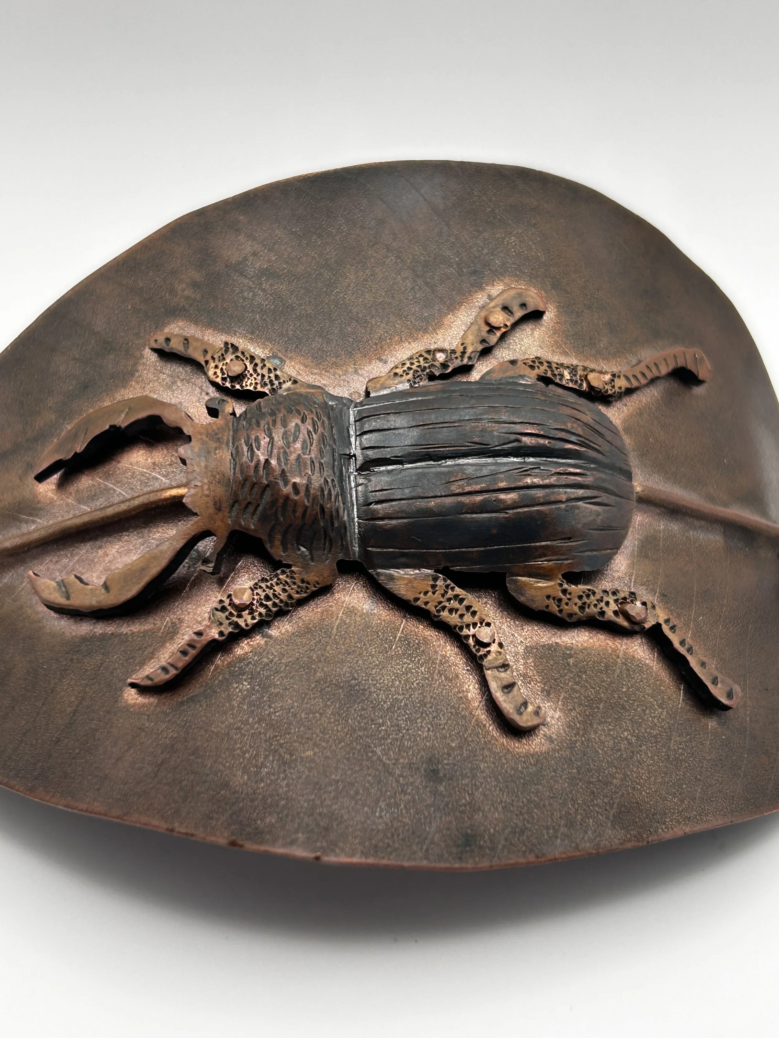 hairpin2_beetle_on_leaf_450 (3).jpeg