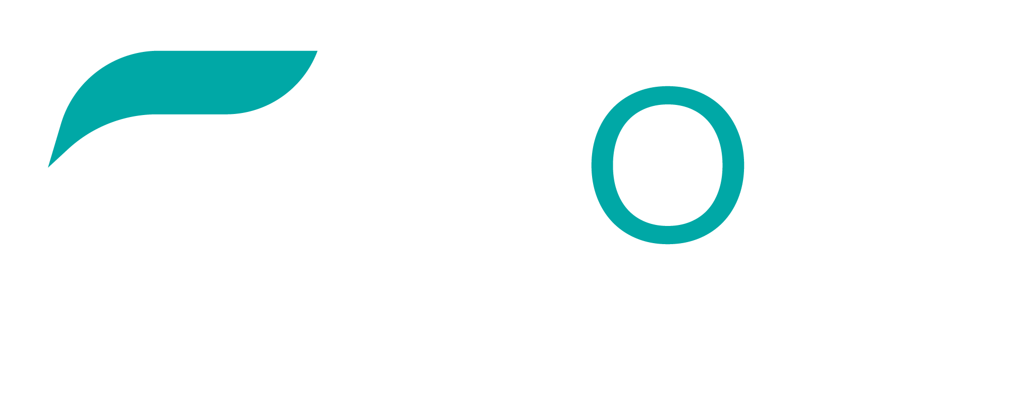FLOW logo on dark background | Fractional leadership. Operational worth.