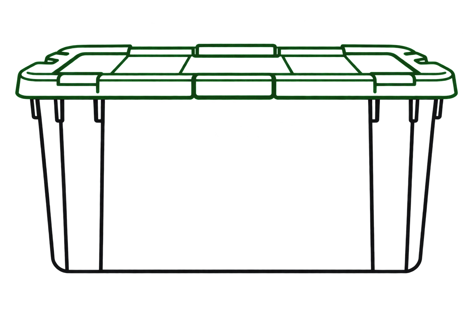 Storage tote with a green lid