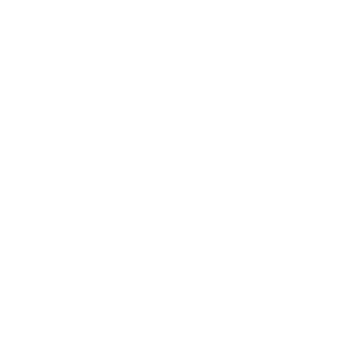 Line drawing of a shield with a smaller shield inside it.