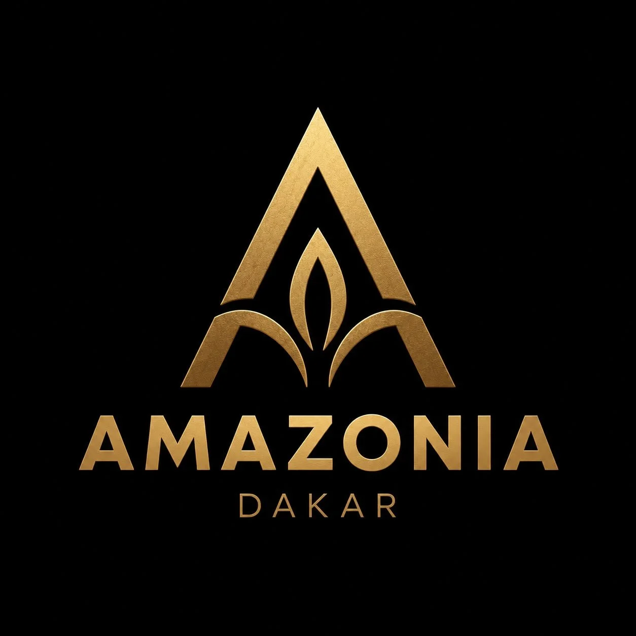 Amazonia Dakar
