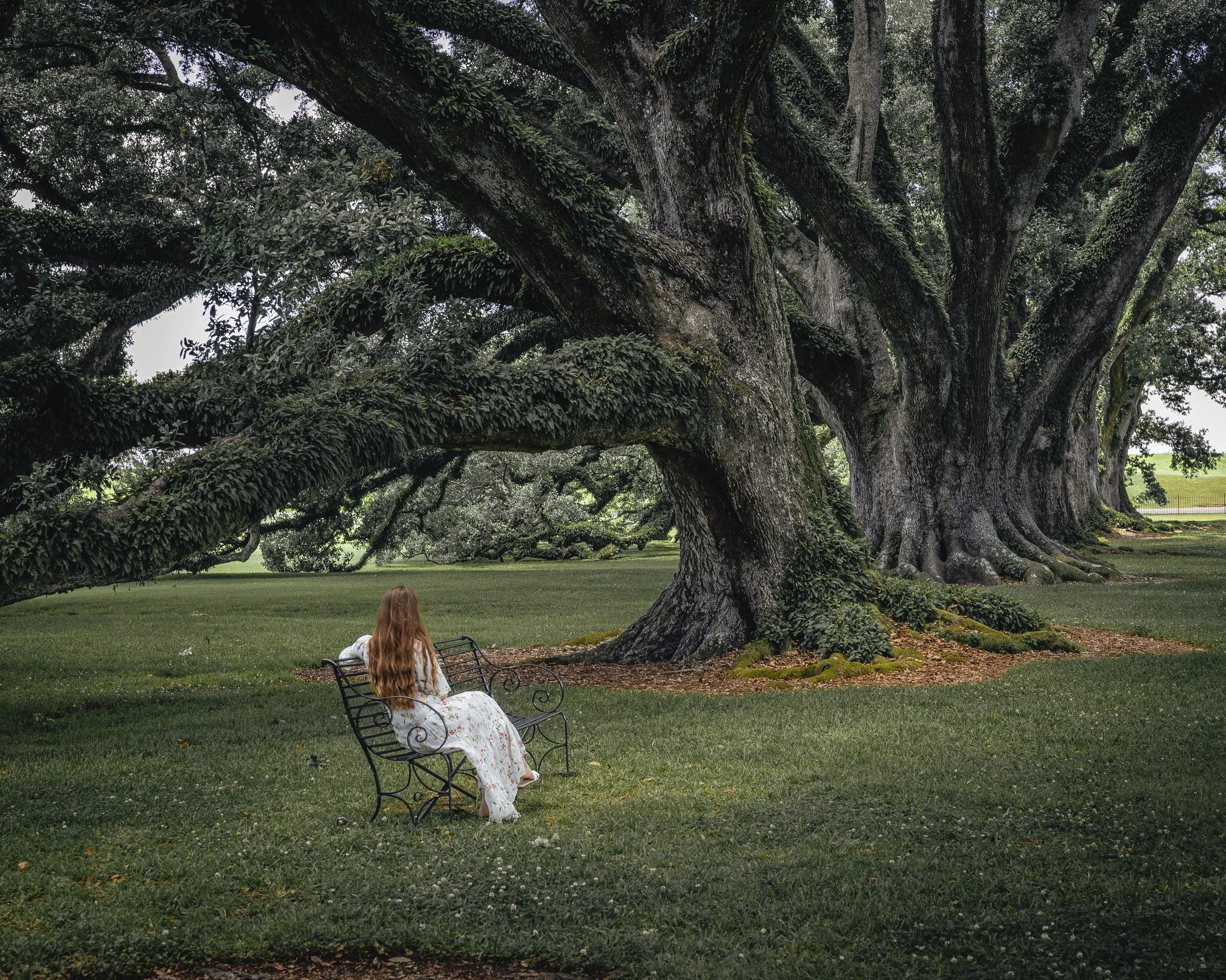 A girl in a white floral dress with long red hair sitting on a black metal bench under a large, leafy tree in a park.
