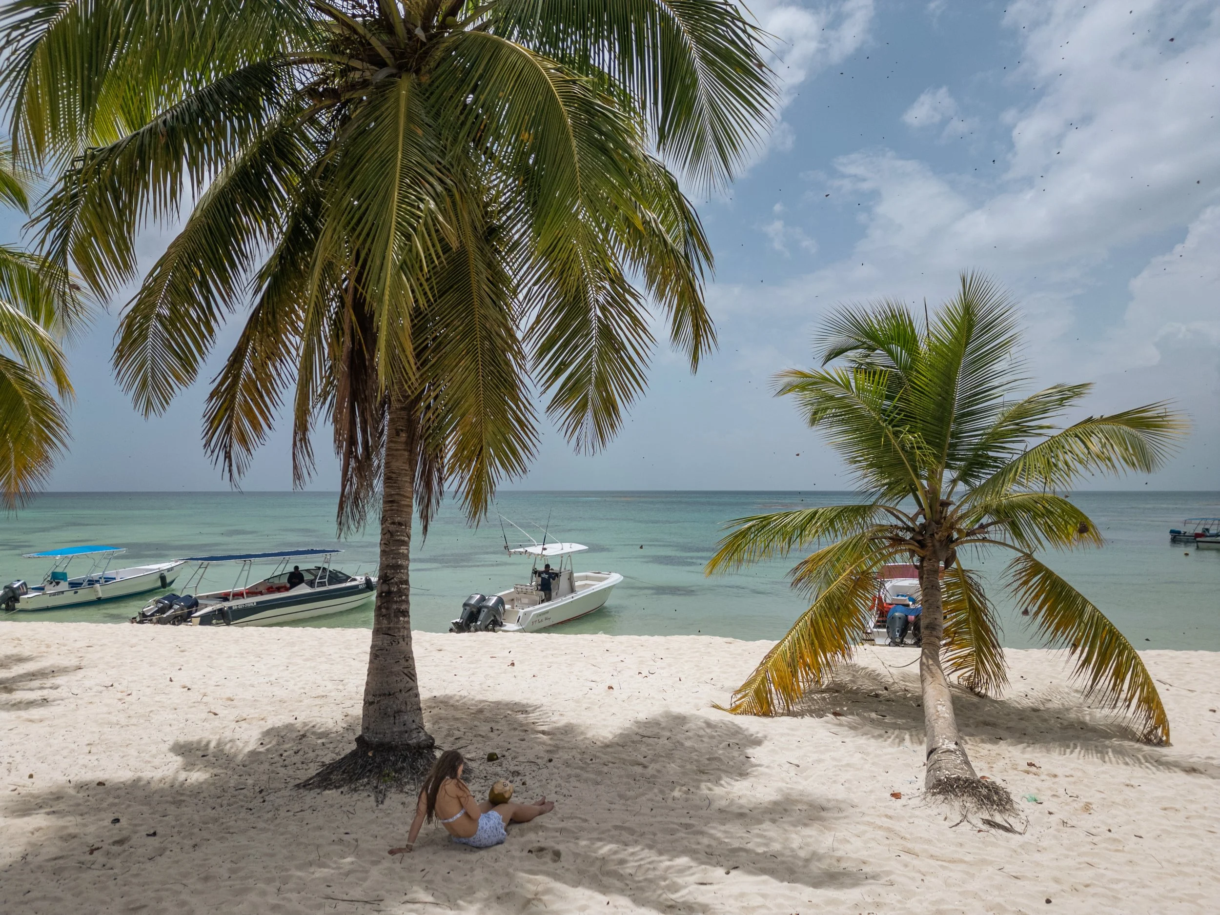 A beach scene with two palm trees in the foreground, a woman sitting on the sand, and boats anchored in clear water. The sky is partly cloudy.
