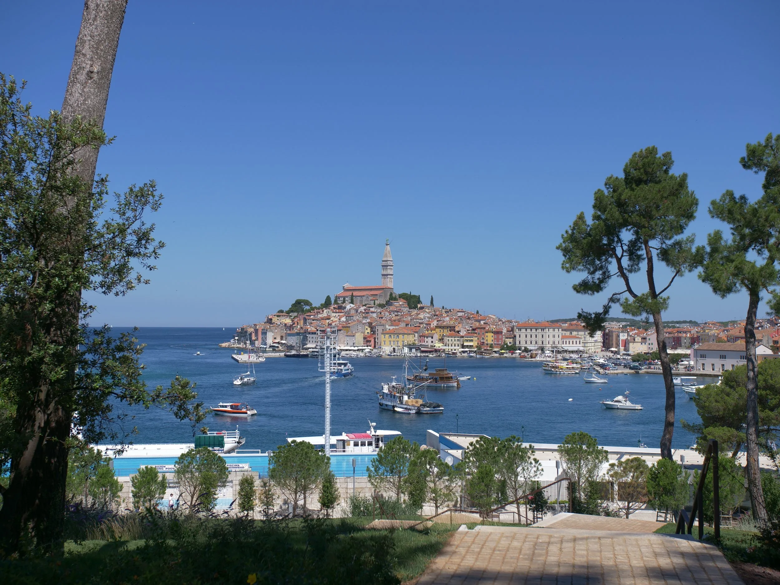 A view of a Mediterranean coastal town with boats in the harbor, historic buildings on a hill, and trees in the foreground under a clear blue sky.