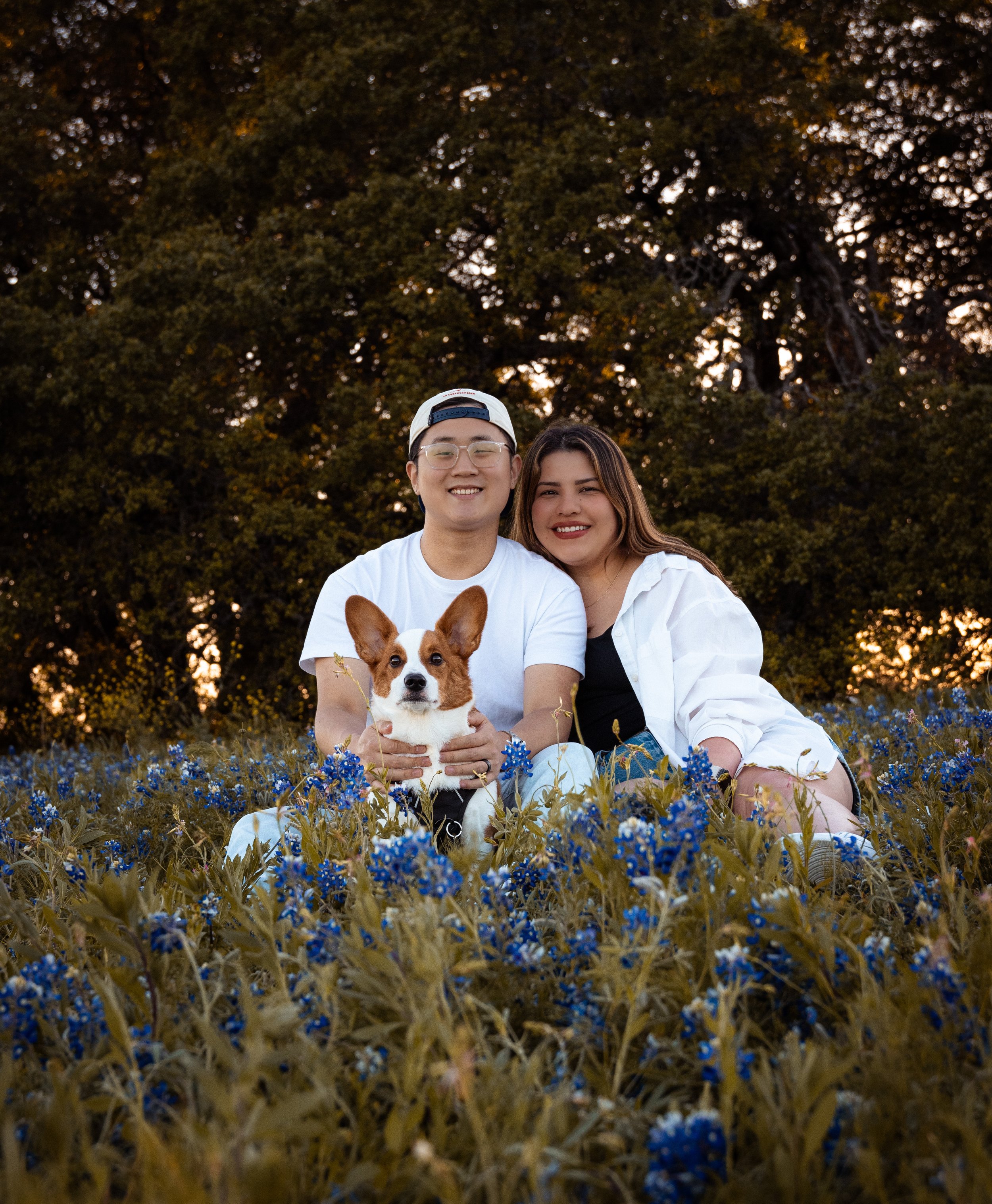 A smiling young man and woman sitting in a field of blue flowers with a brown and white dog, with a large tree in the background during sunset.