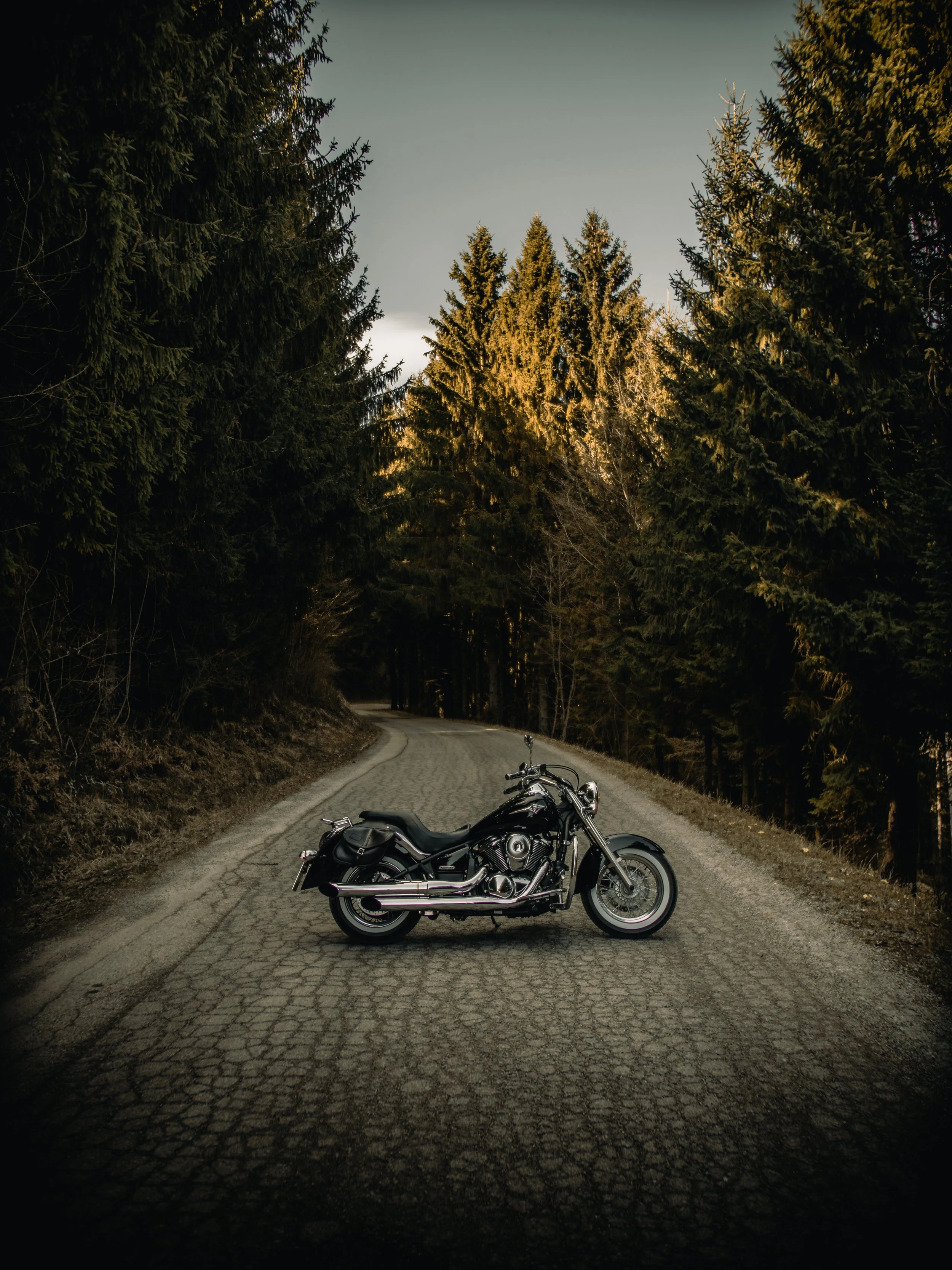A black motorcycle is parked on a winding gravel road surrounded by tall evergreen trees, with a partly cloudy sky overhead.