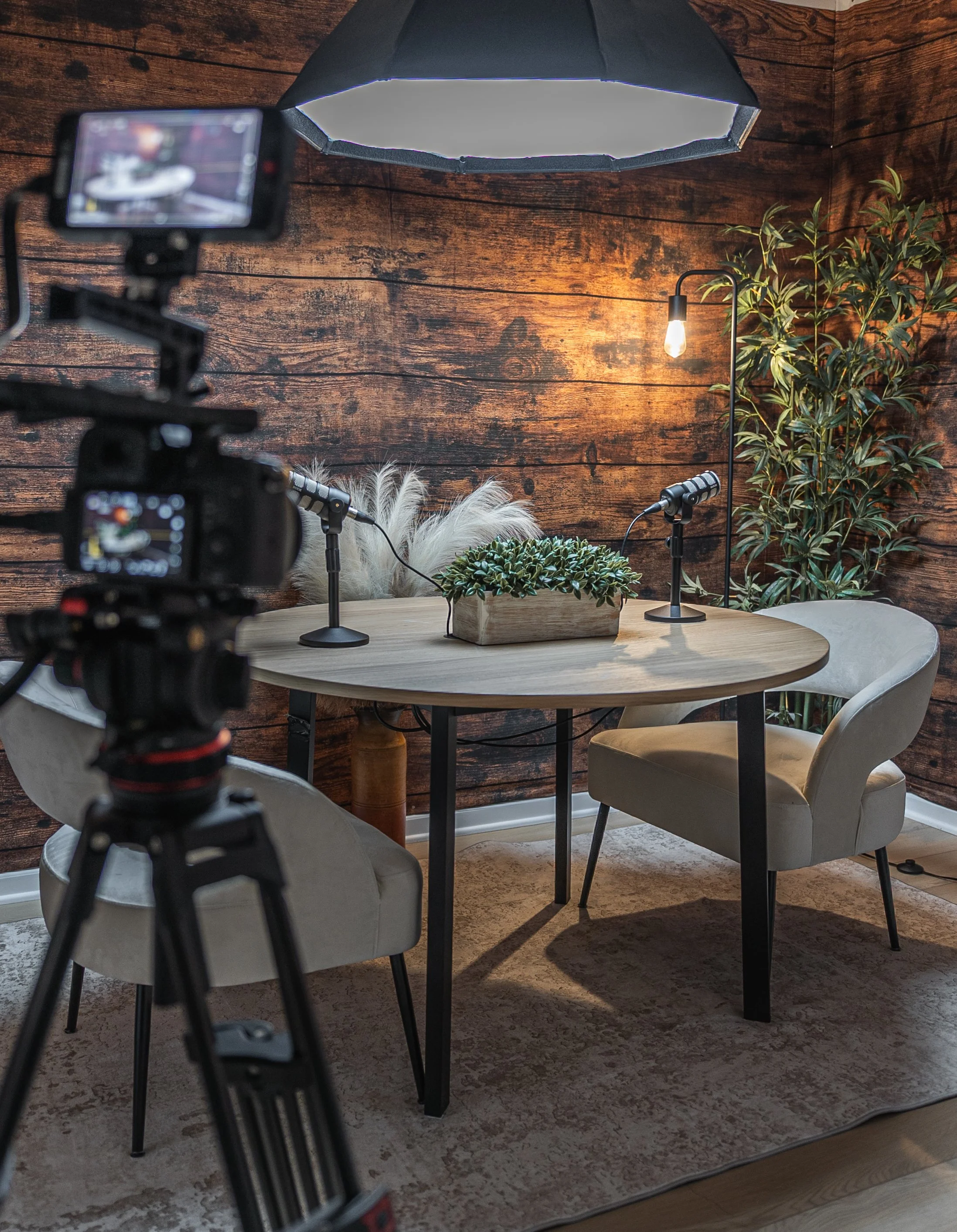 A podcast recording setup with two microphones on stands, a white fur-like throw, a small potted plant, and a backdrop that combines a textured wooden wall with greenery. A camera on a tripod is positioned to record or photograph the scene, which is 