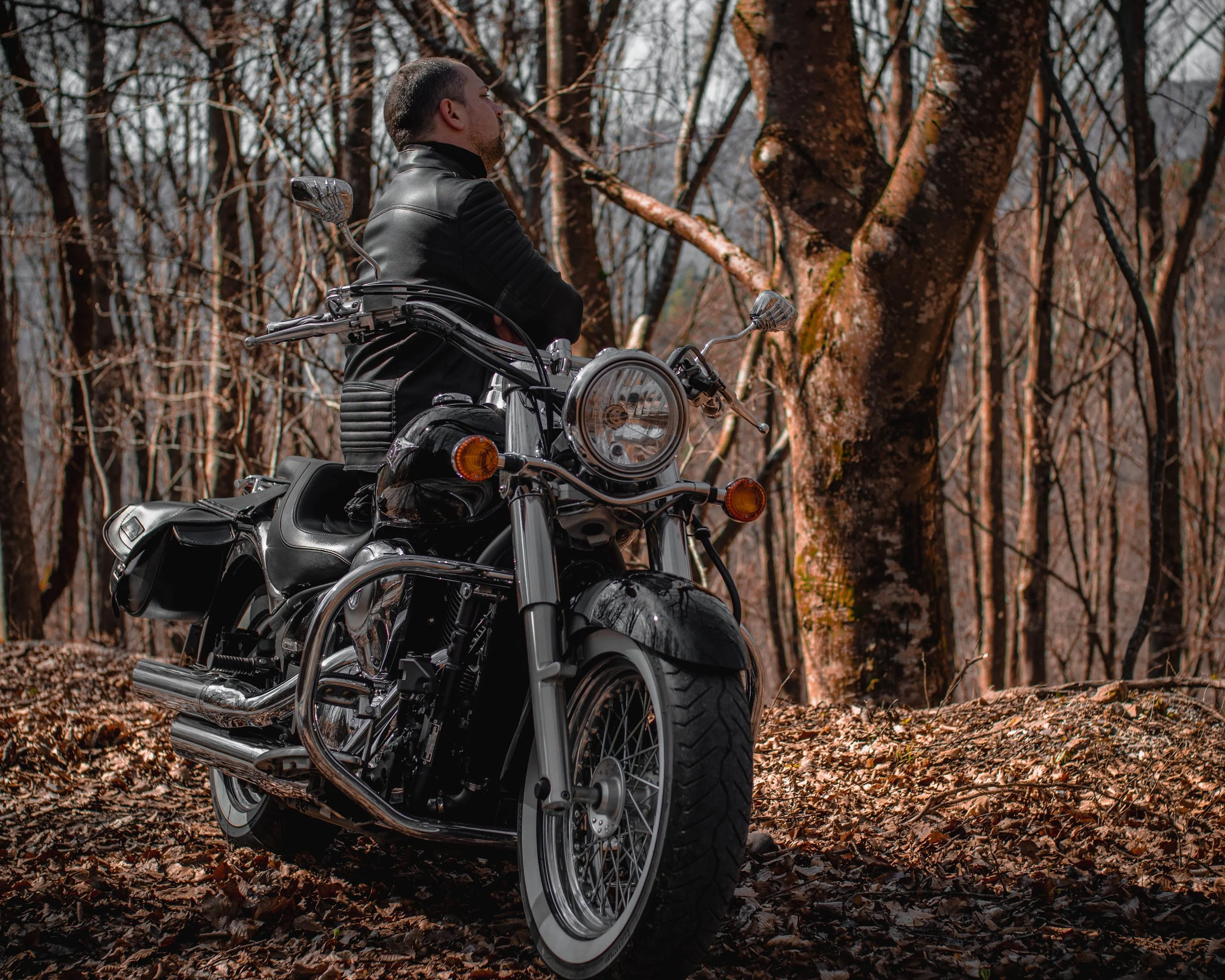 A man in a black leather jacket sitting on a black motorcycle in a forest with fallen leaves and leafless trees.