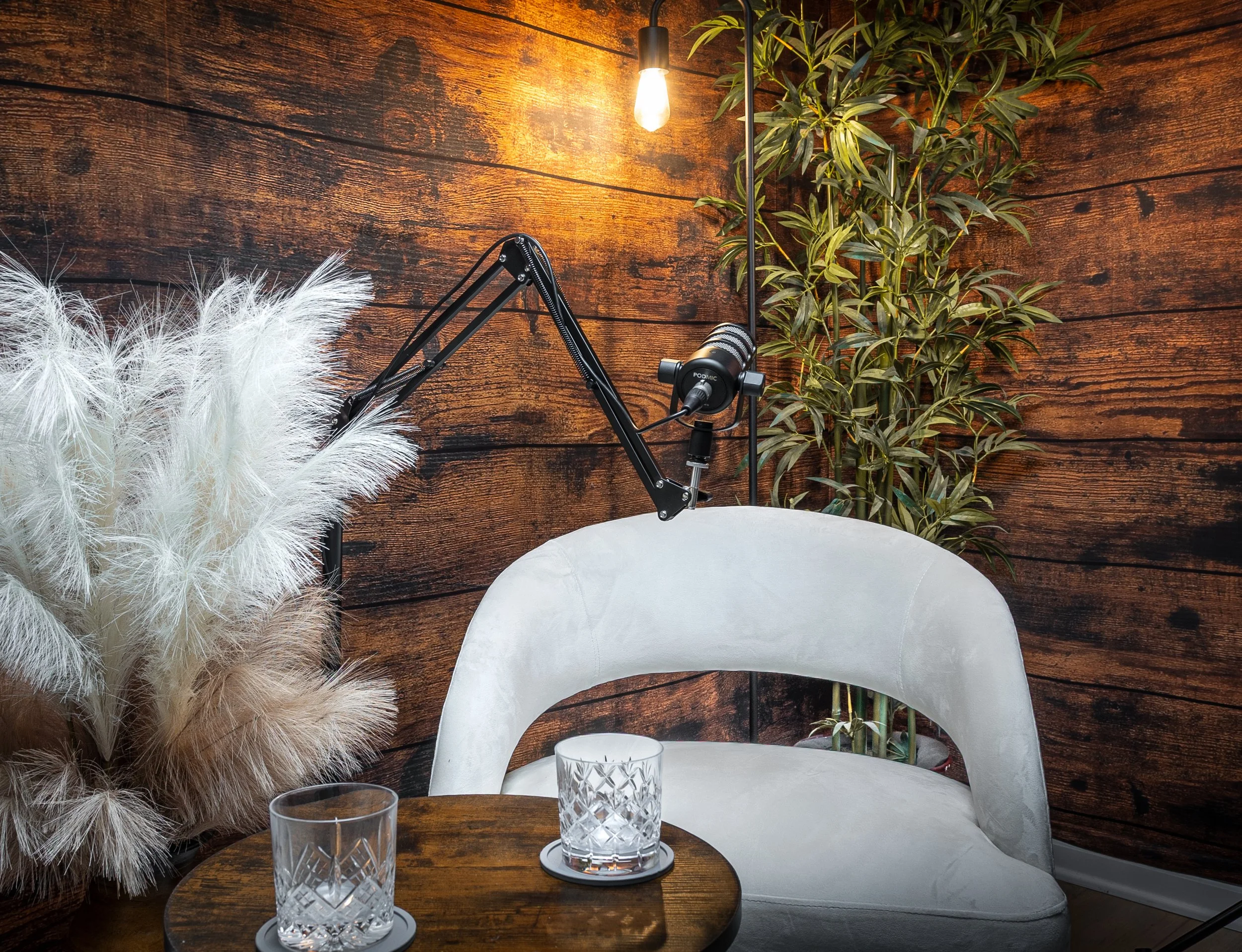 A cozy indoor scene with a wooden wall background, a small round wooden table with two glasses of water, a white modern chair, a potted plant with lush green leaves, a vintage-style microphone, a lamp with an exposed bulb, decorative tall dried plant