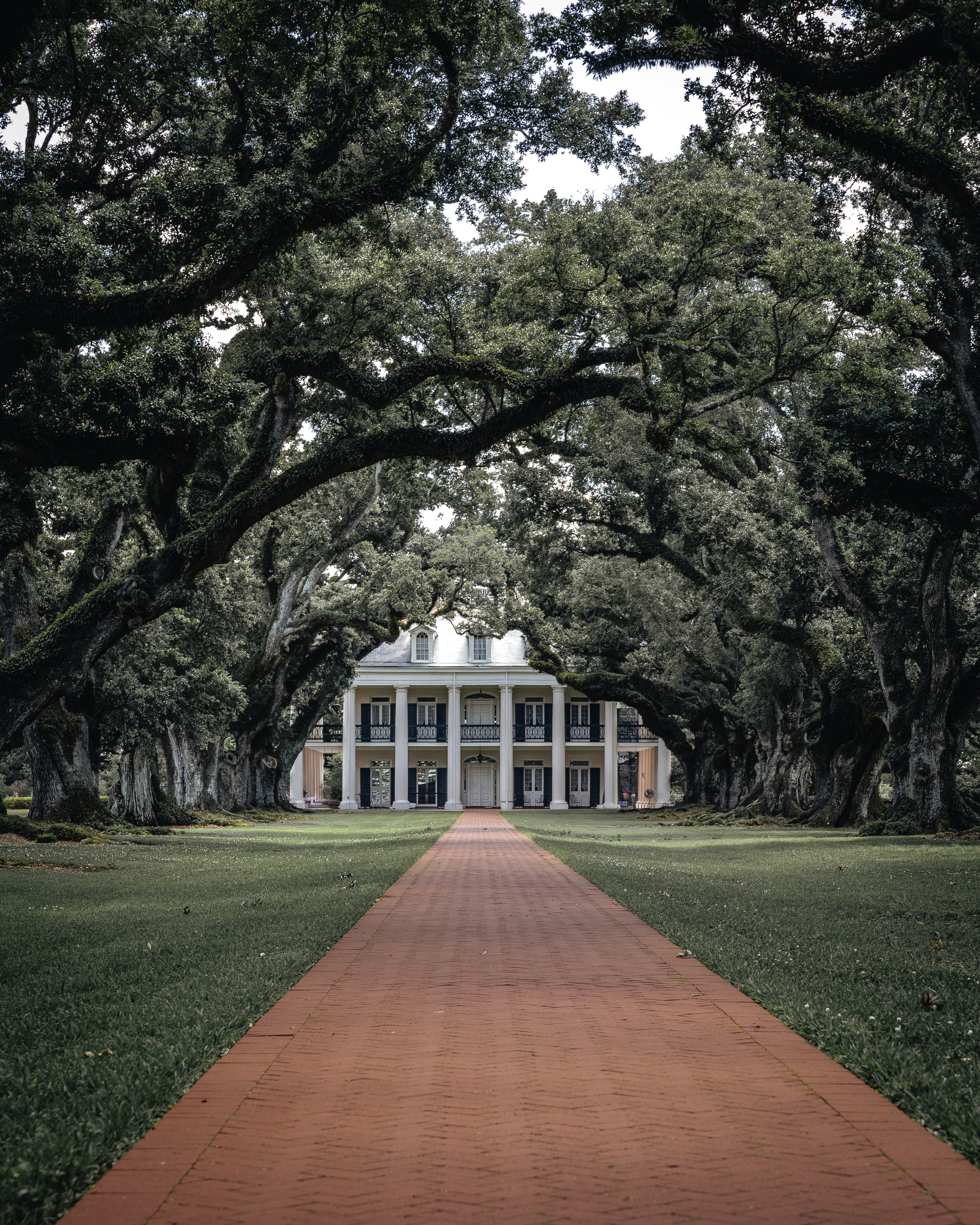A brick path leading to a large white house with columns, surrounded by trees with sprawling branches and dense green foliage.