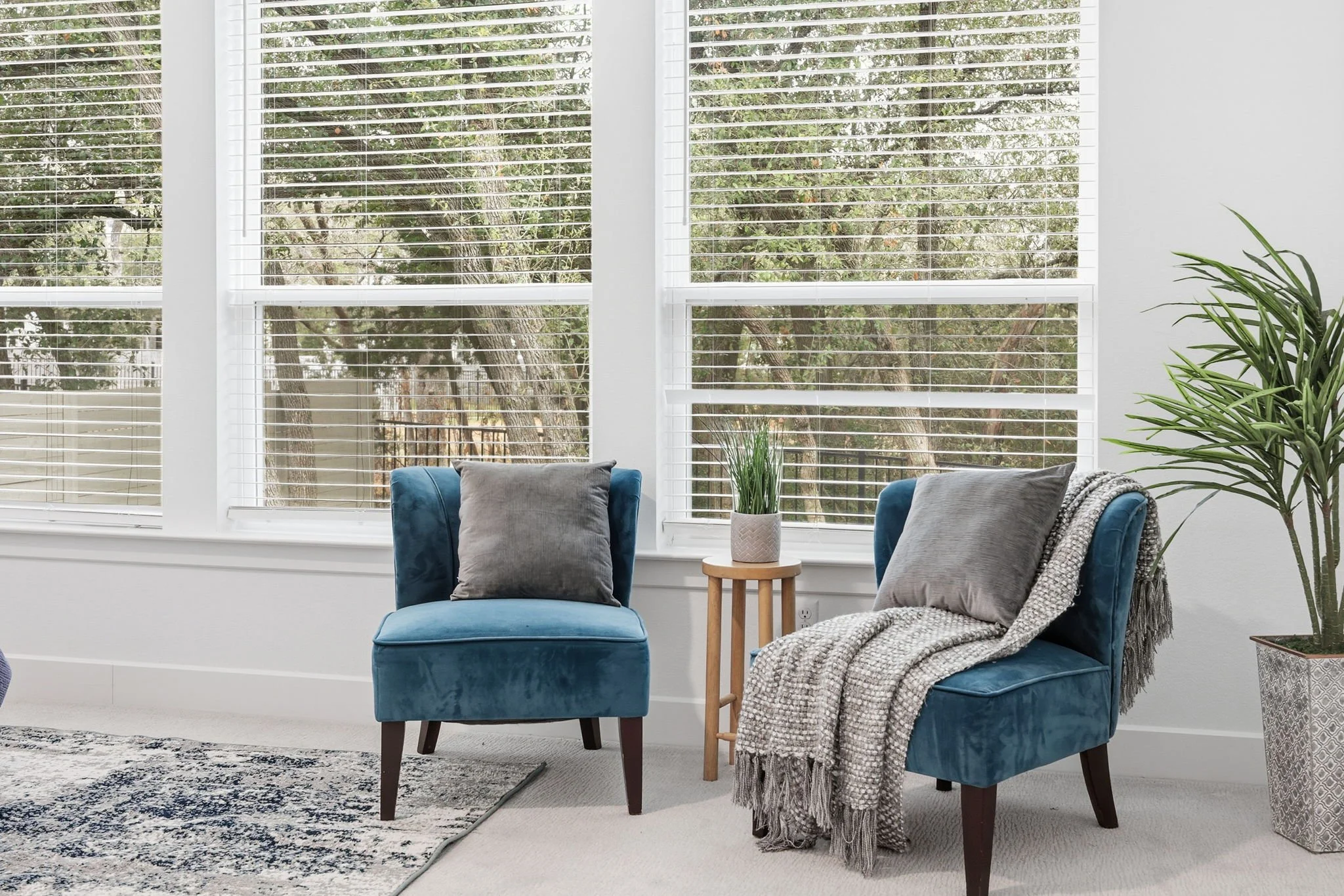 Living room with large windows, two blue armchairs with pillows, a small wooden table with a potted plant, large green houseplant, patterned rug, and throw blanket.