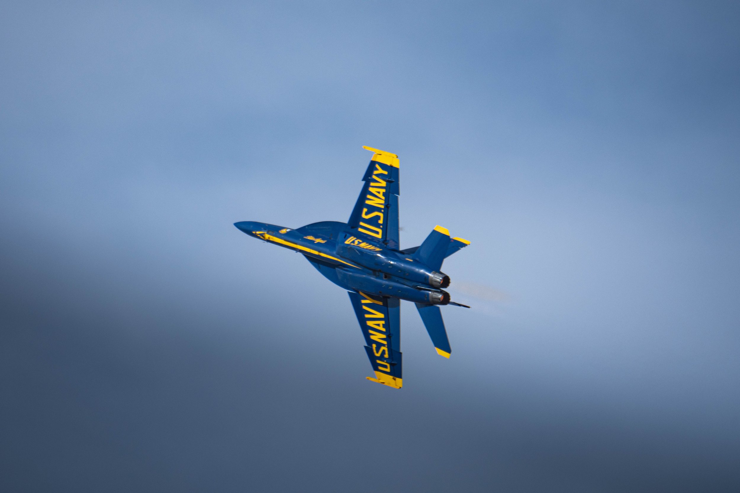 _DSC1147.JPG