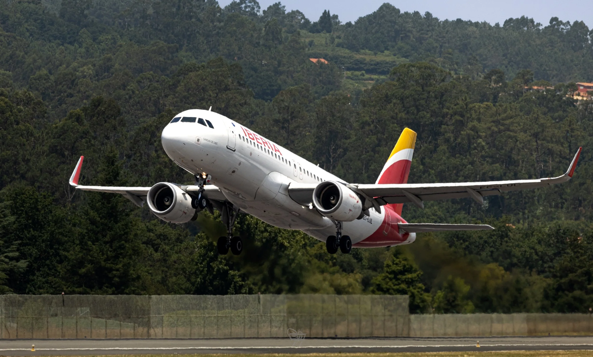 R6II0010.jpg