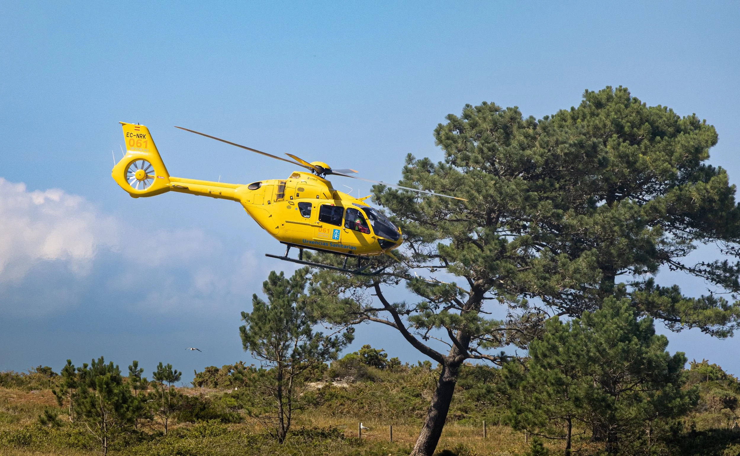 R6II7479.jpg
