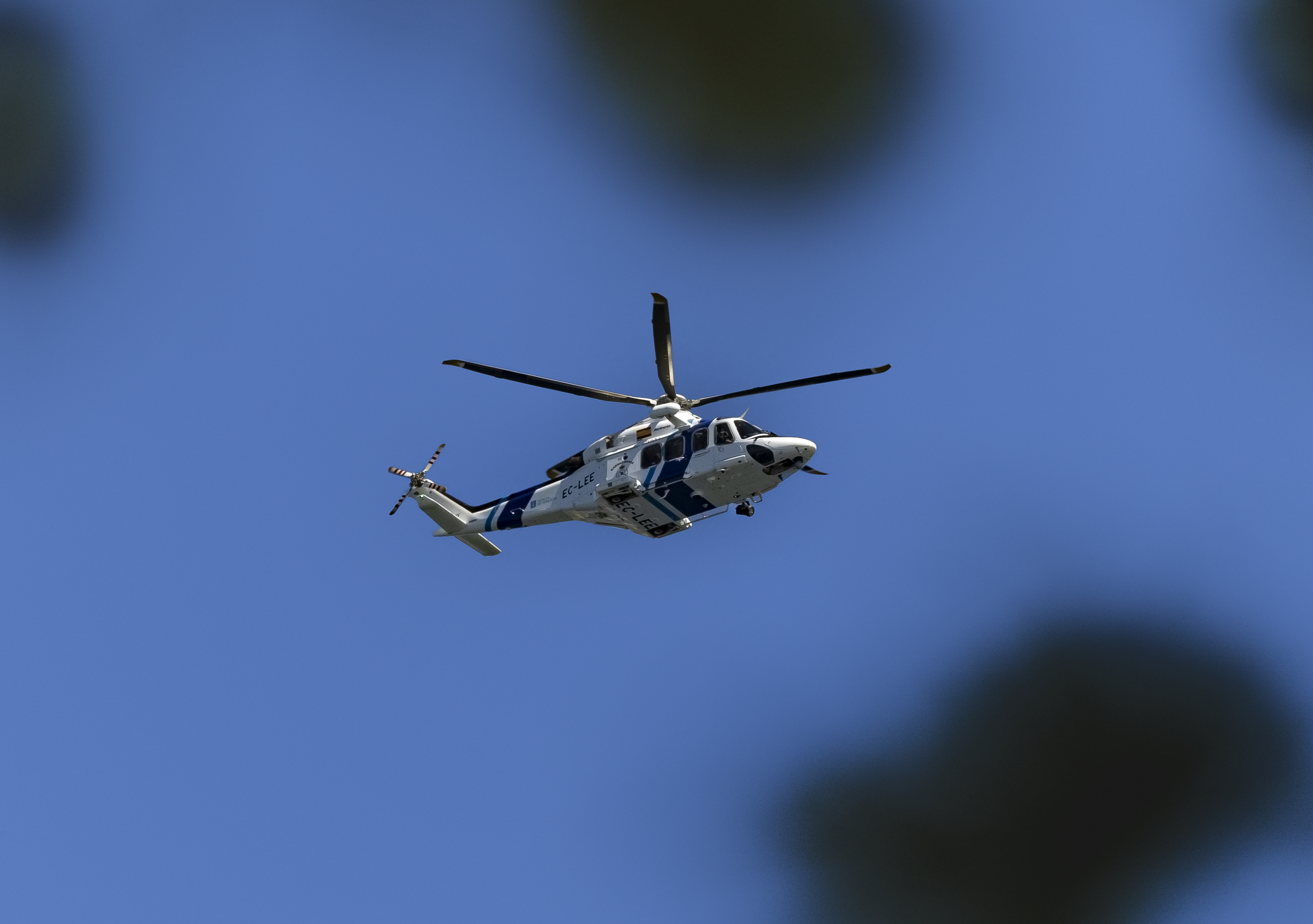 R6II8603.png
