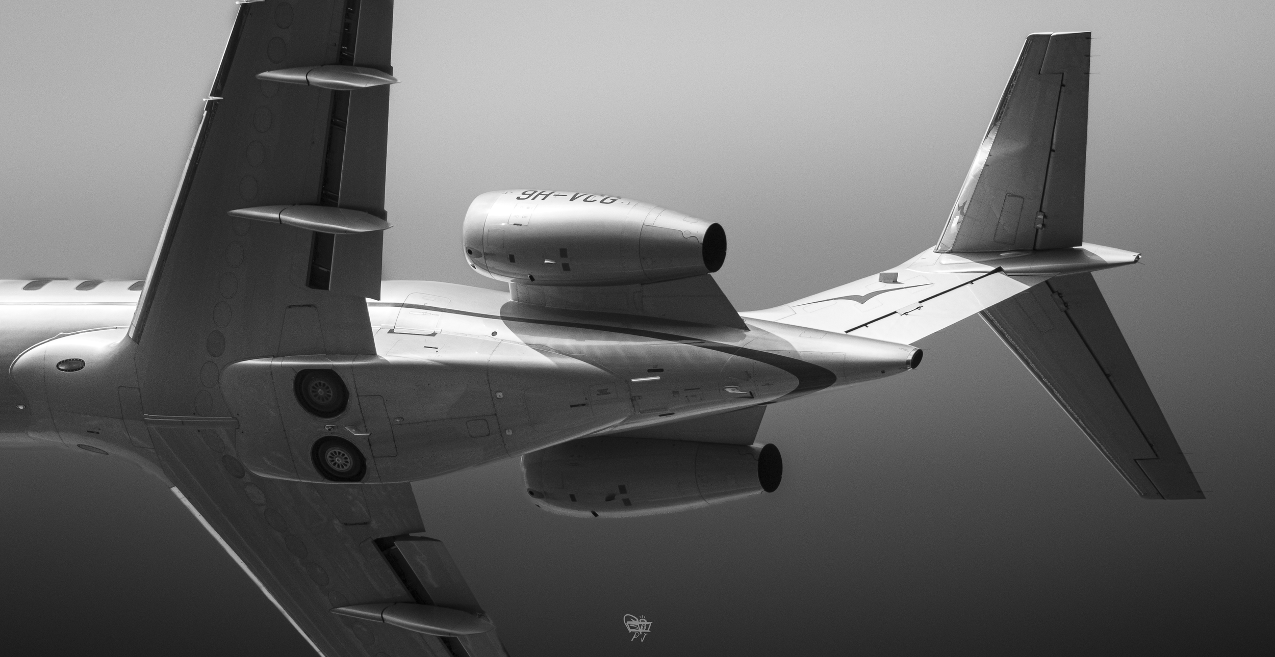 R6II3362.png