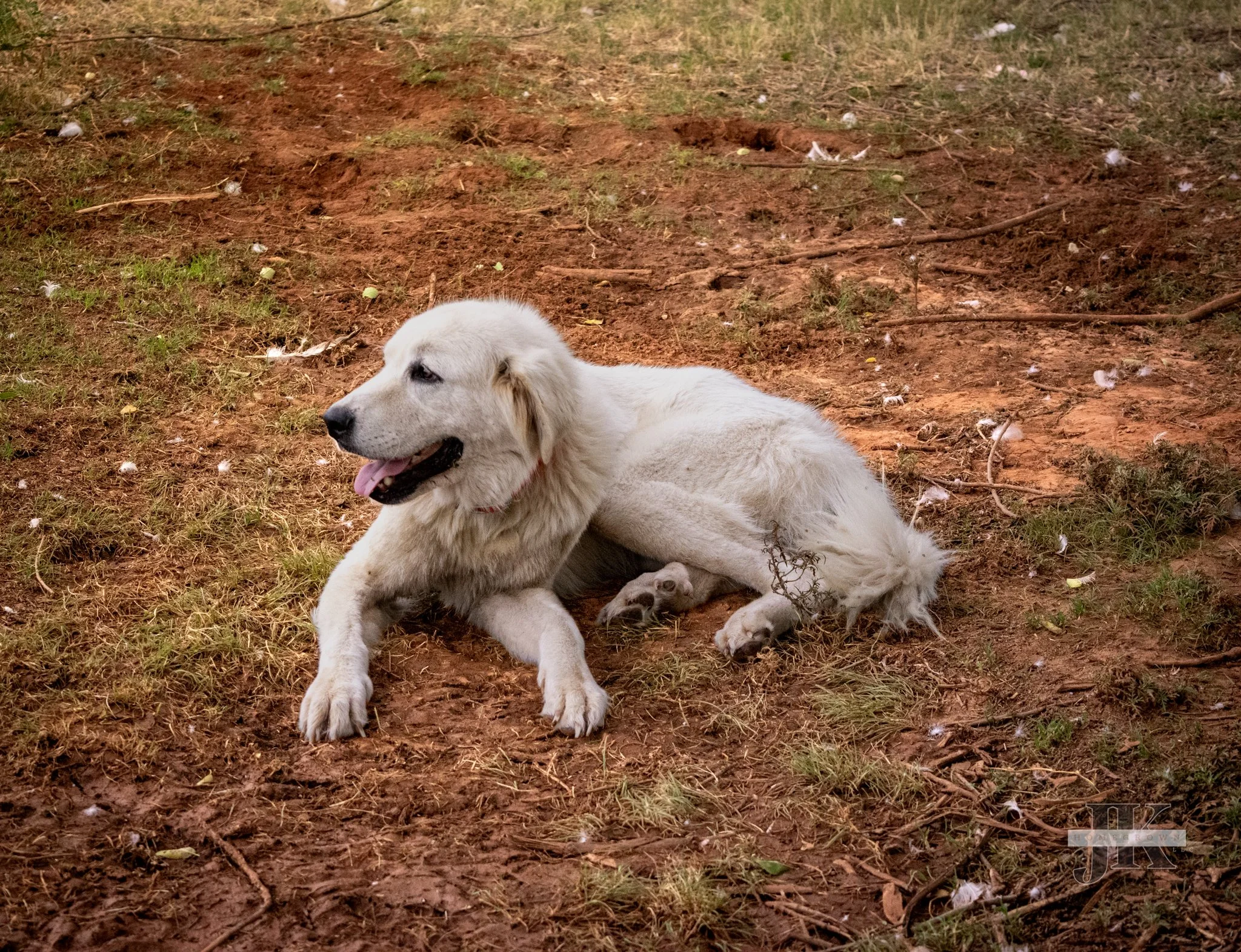 DSC_0113-2.jpg