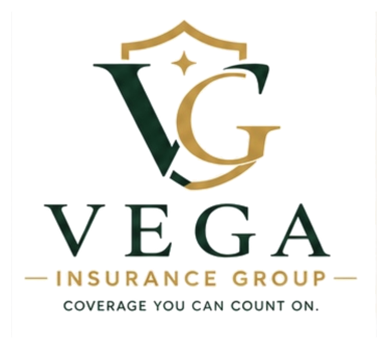 Vega Insurance Group
