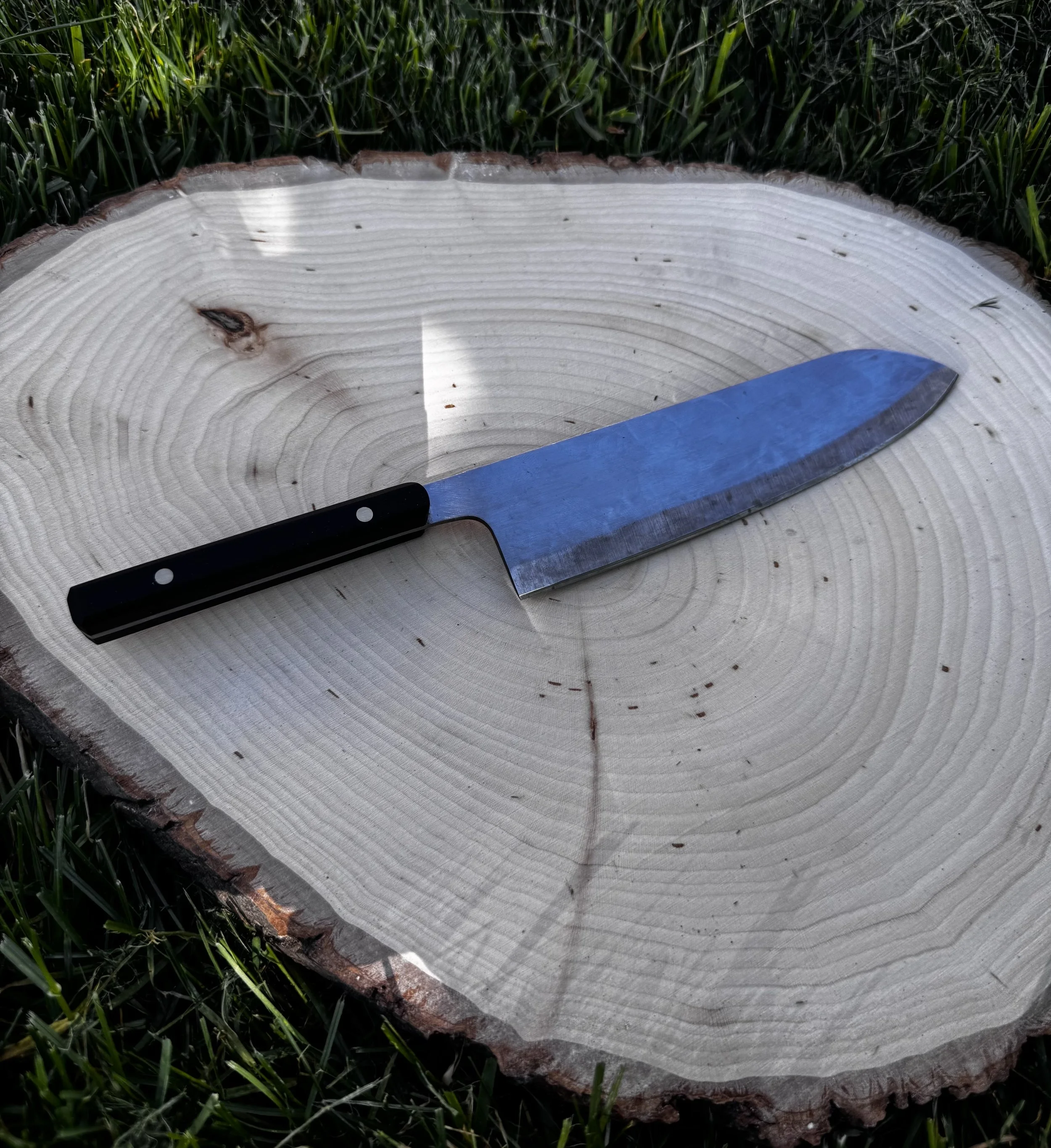 A close-up image of a freshly cut tree log with concentric growth rings, surrounded by green grass, and a blue-handled knife resting on the log.