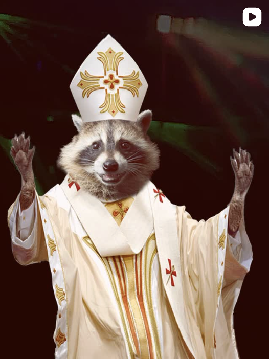 Raccoon pope