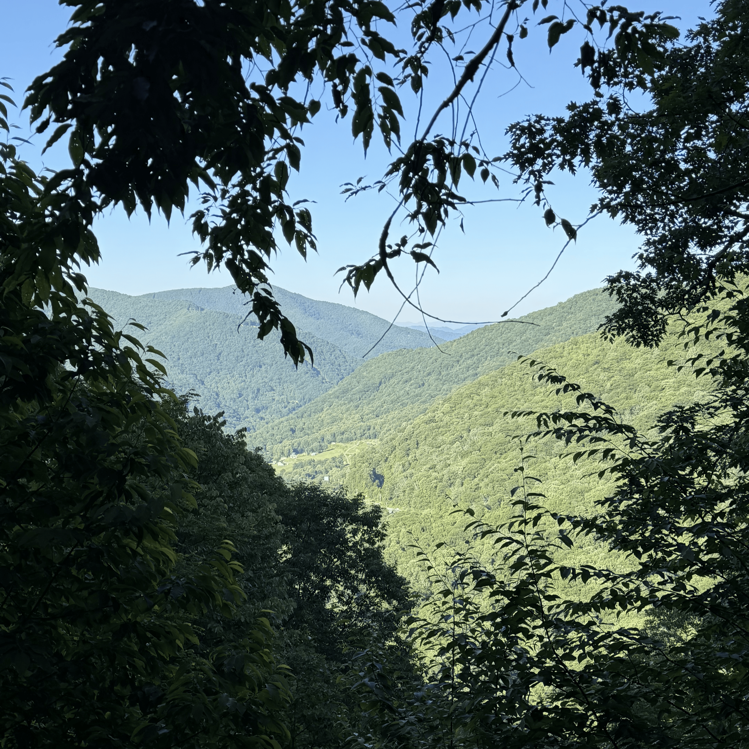 IMG_0549.png